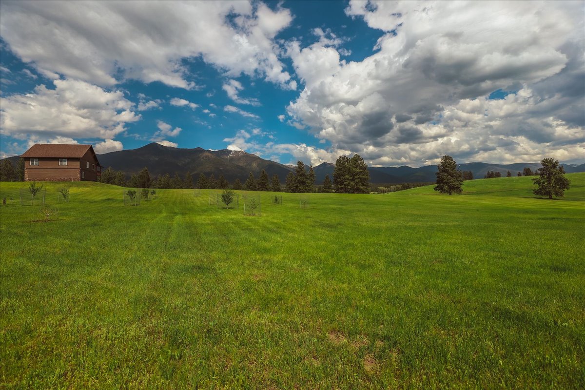 273 Game Trail Property Photo 49
