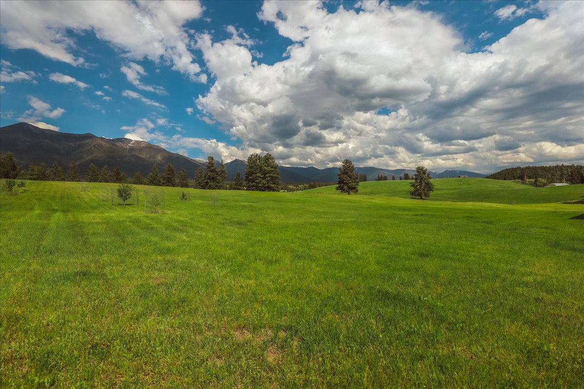 273 Game Trail Property Photo 59