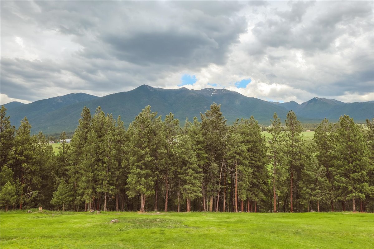 273 Game Trail Property Photo 61