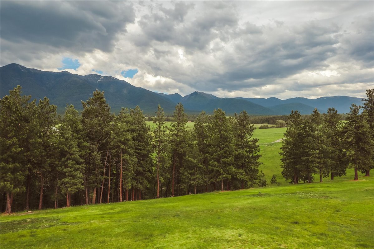 273 Game Trail Property Photo 62