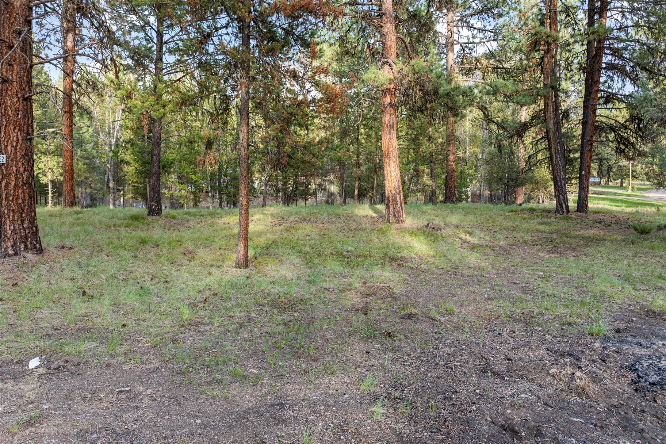 322 Rainbow Court Property Photo 3