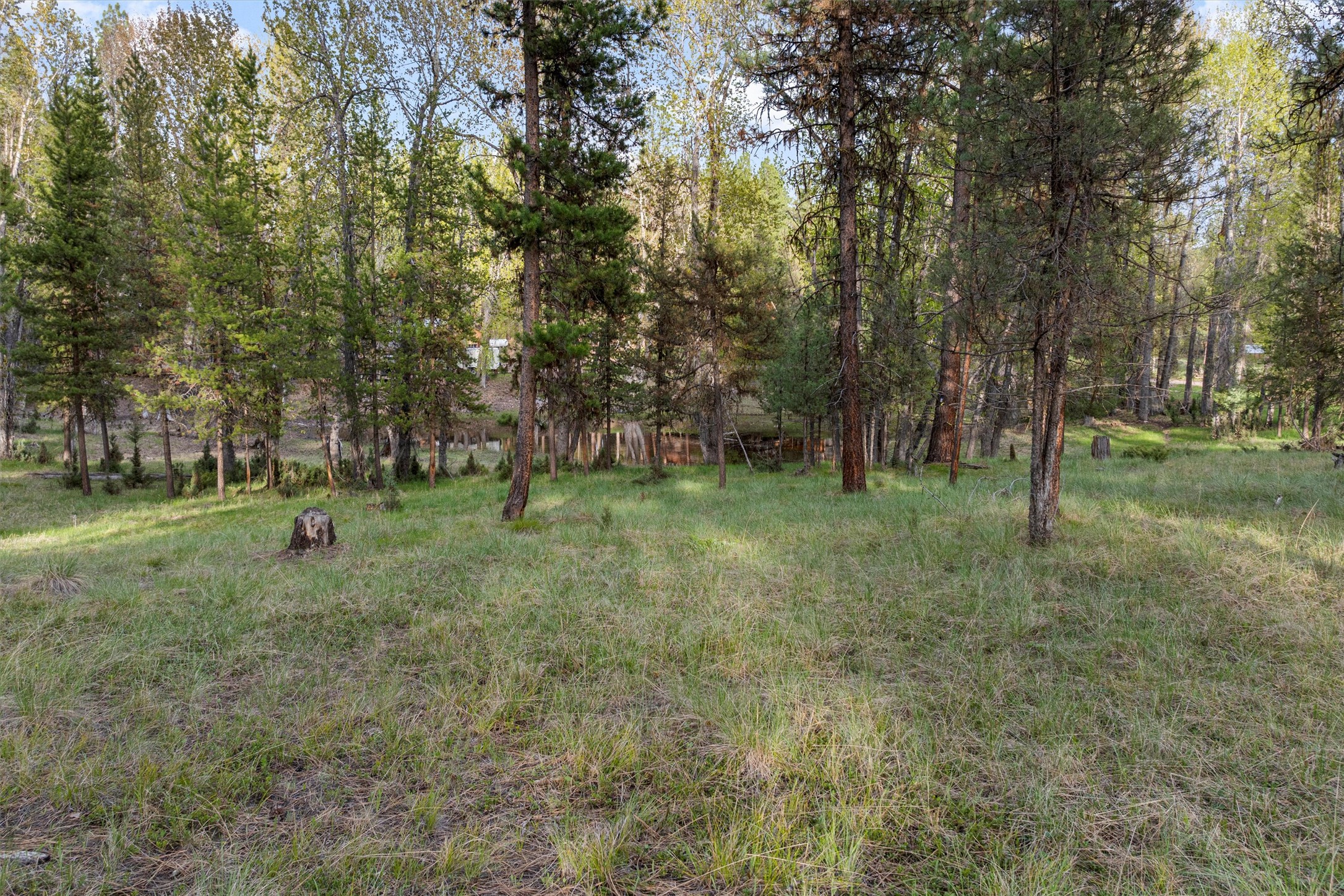 322 Rainbow Court Property Photo 4
