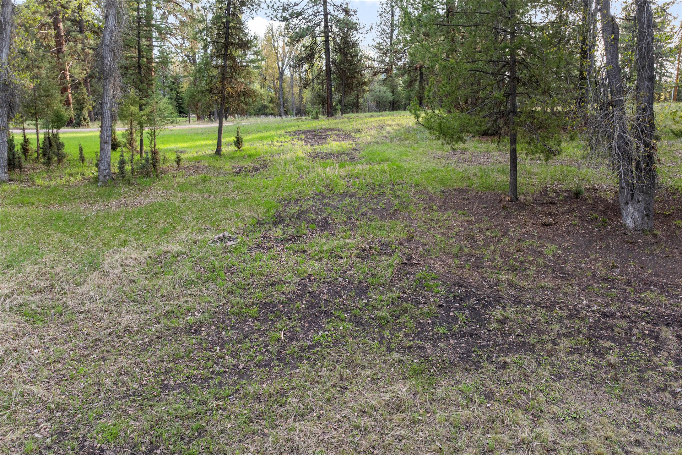 322 Rainbow Court Property Photo 11