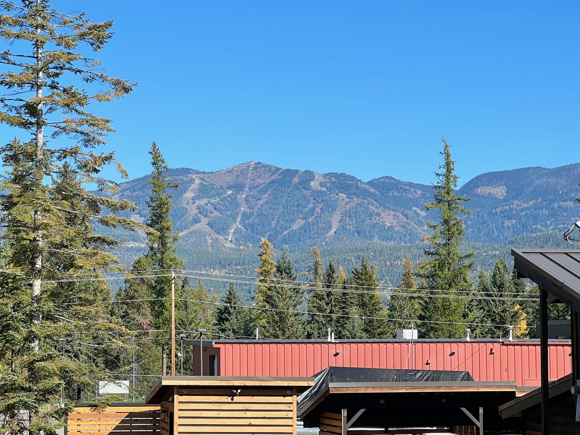 1331 Nelson Lane Cabin I Property Photo 15