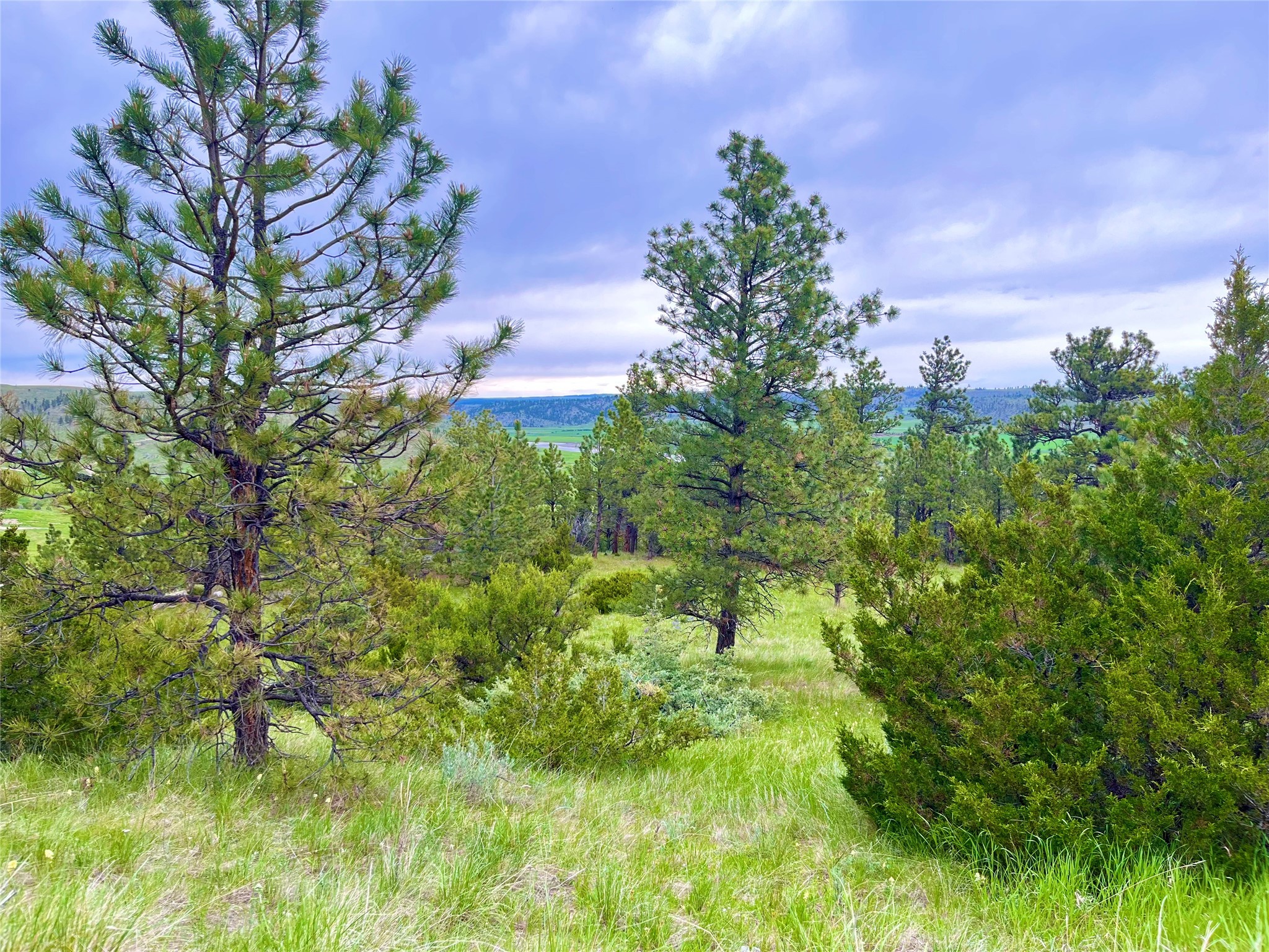69 Colter Trail