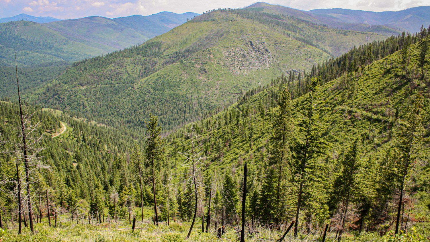 Nhn Swamp Creek Hunting Ranch Property Photo
