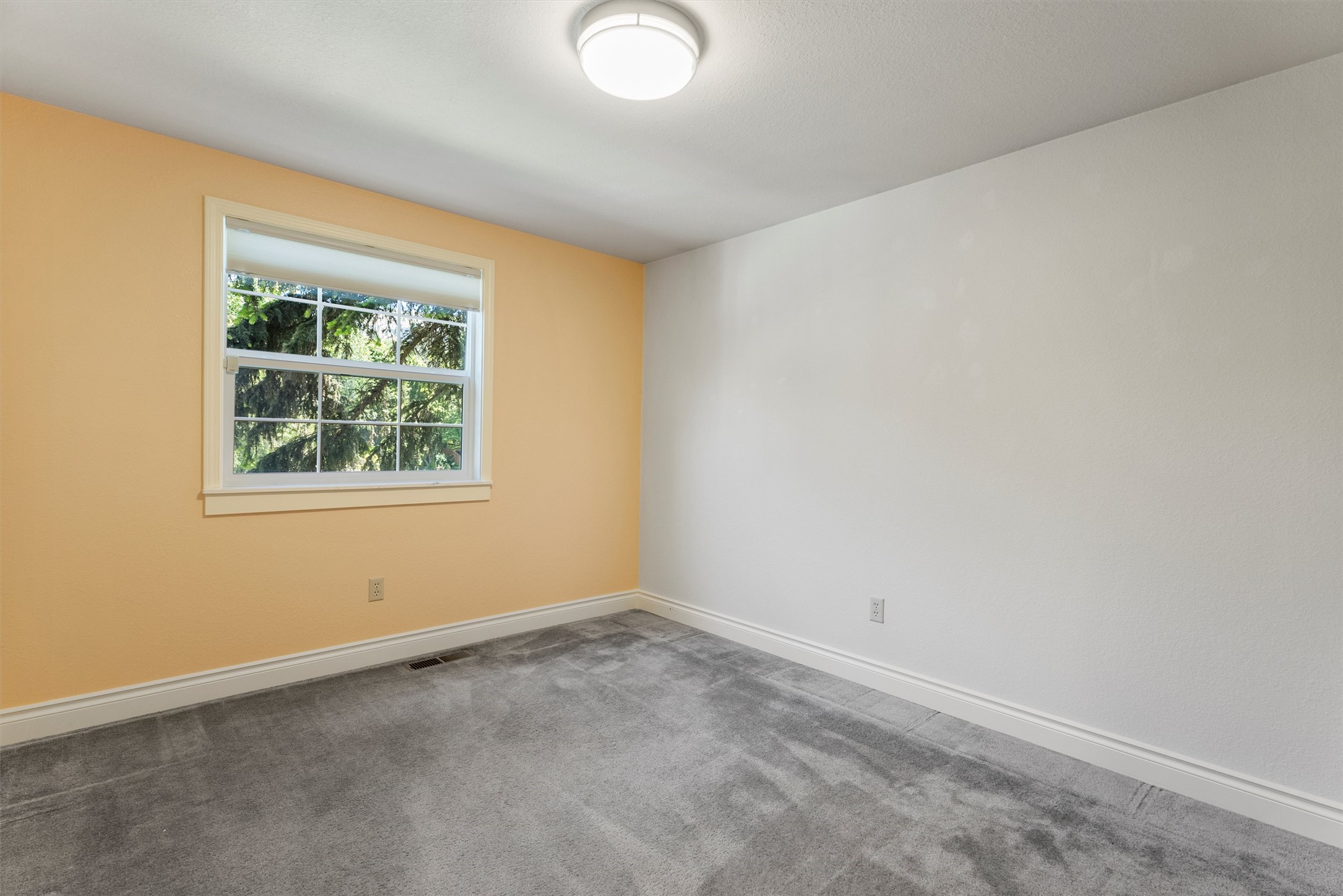 238 Red Fox Road Property Photo 37