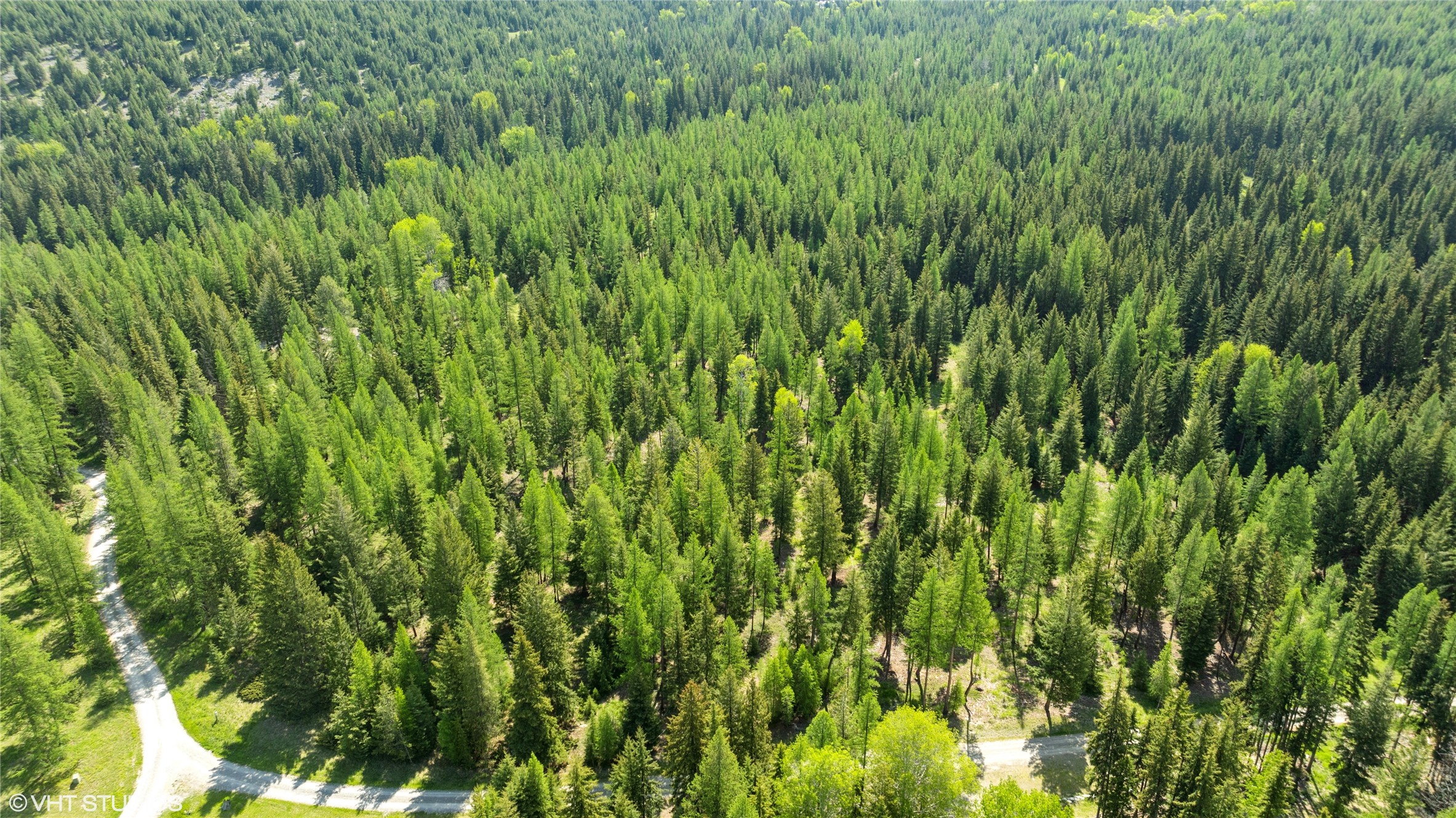 311 Bear Trap Road Property Photo 5