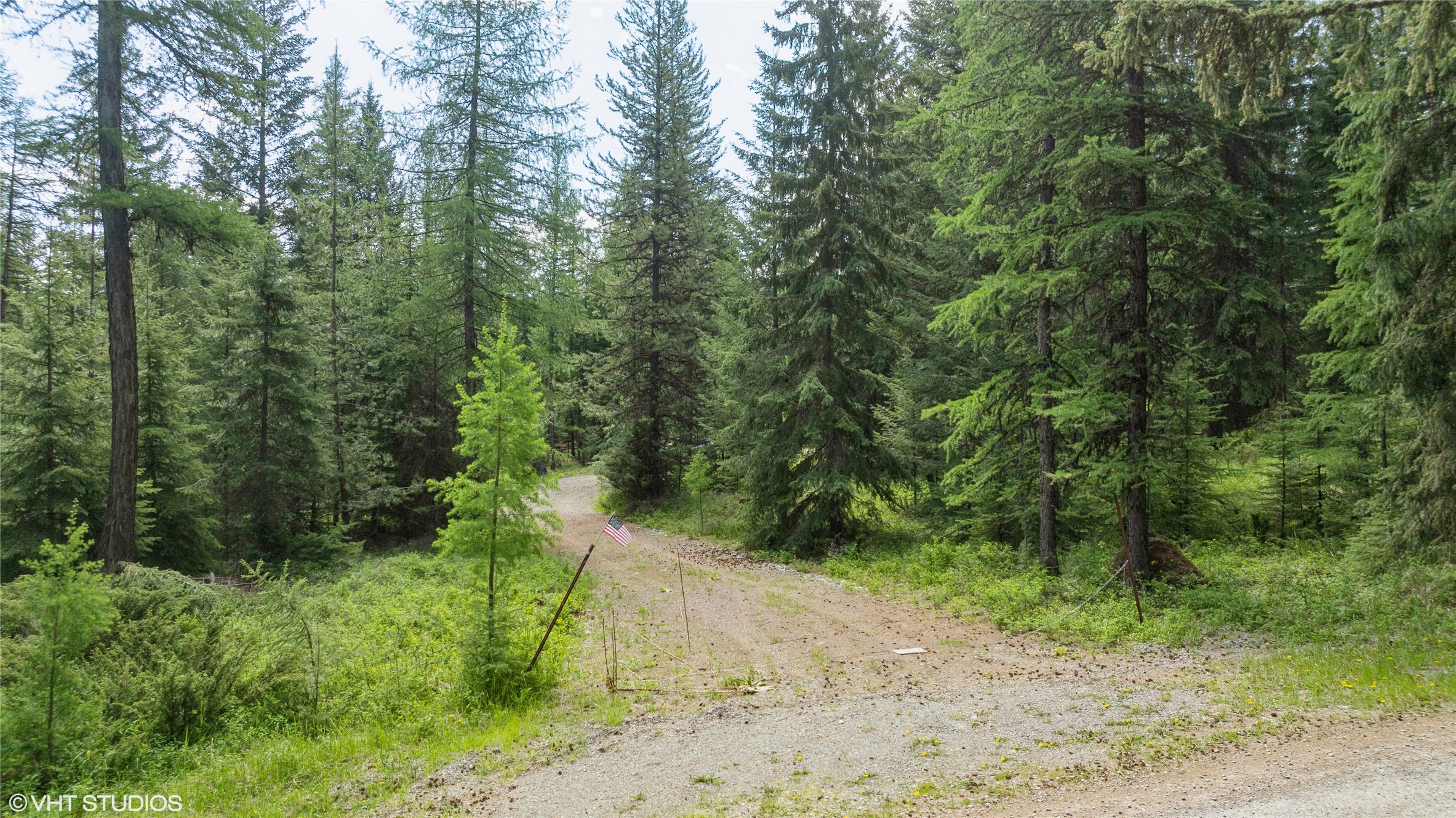 311 Bear Trap Road Property Photo 13