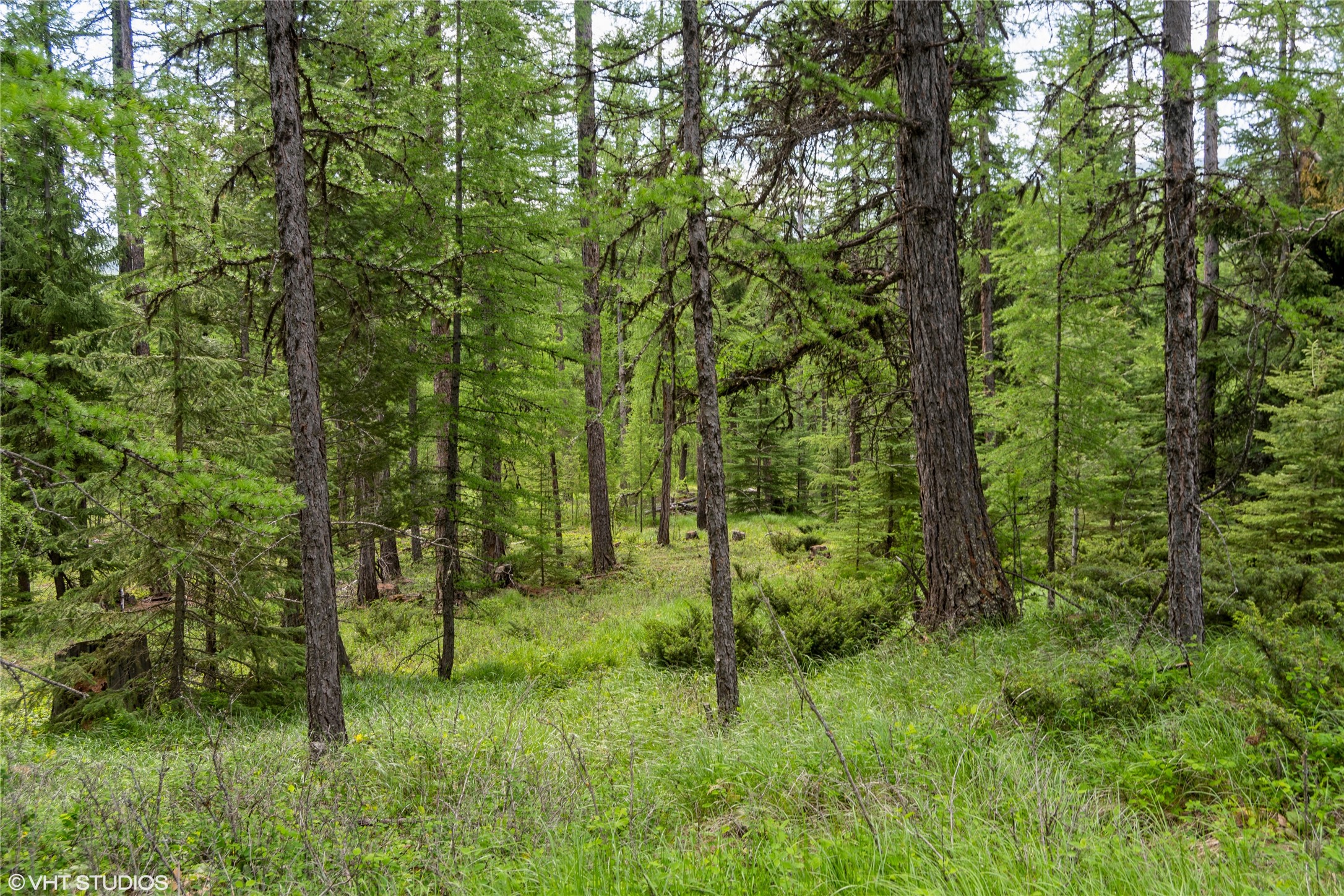 311 Bear Trap Road Property Photo 17