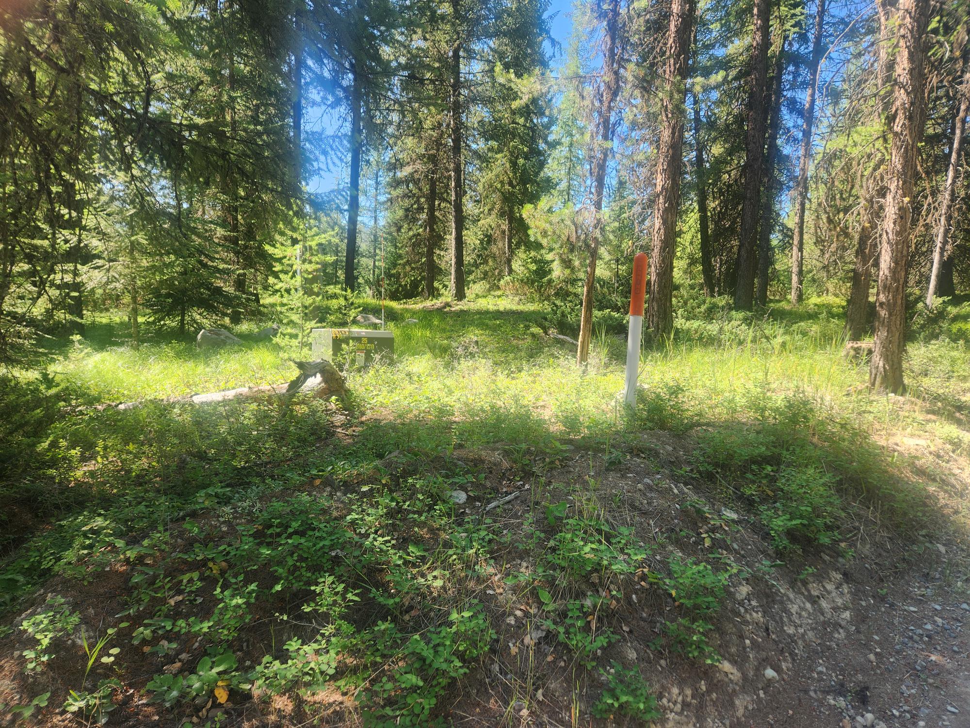 311 Bear Trap Road Property Photo 19