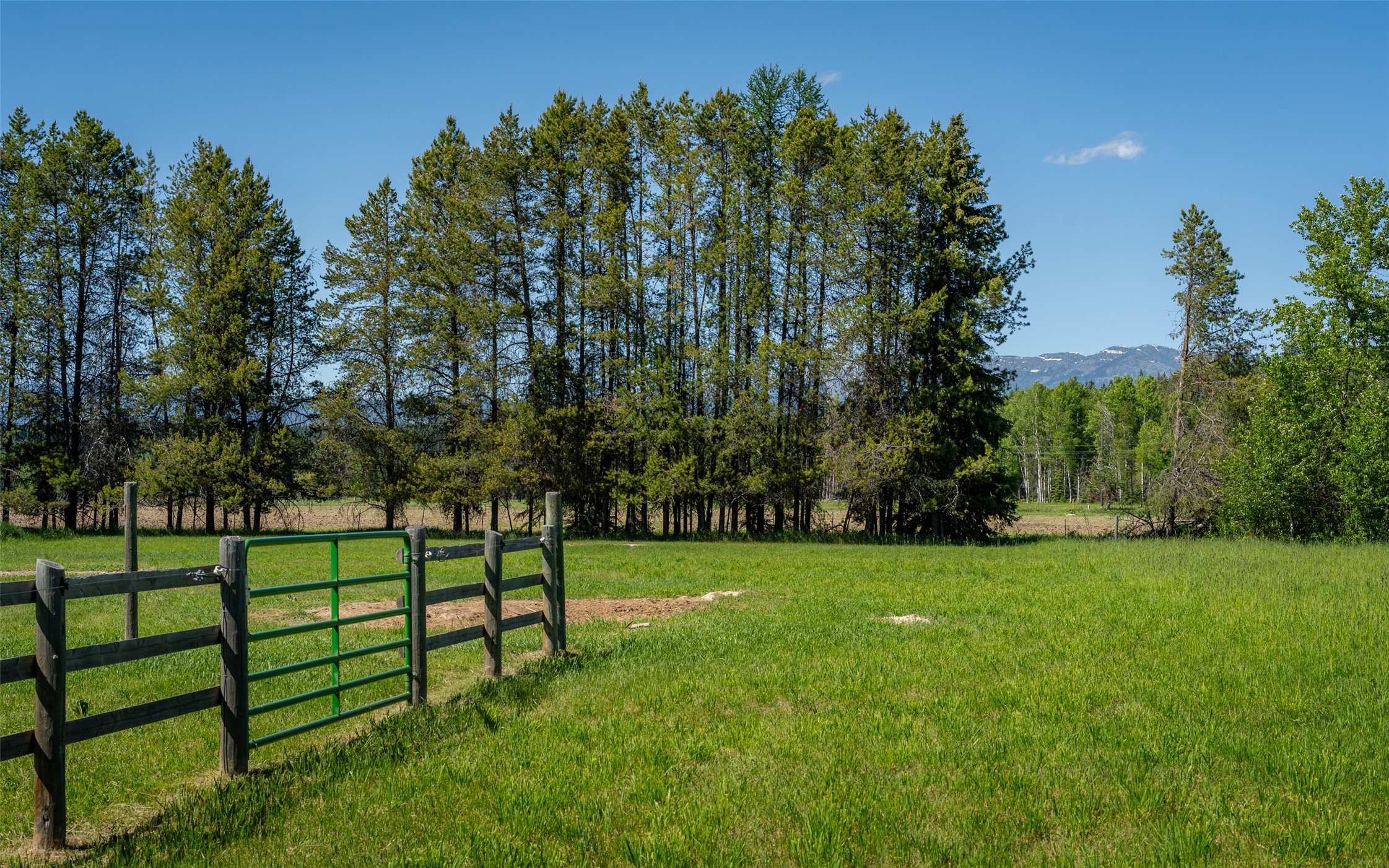 5445 Us Highway 93 W Property Photo 10