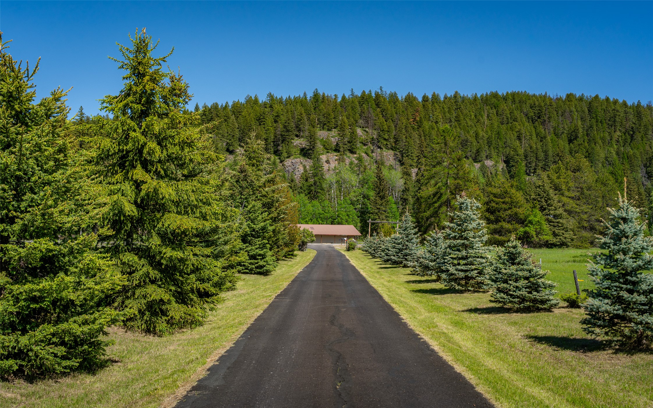 5445 Us Highway 93 W Property Photo 11