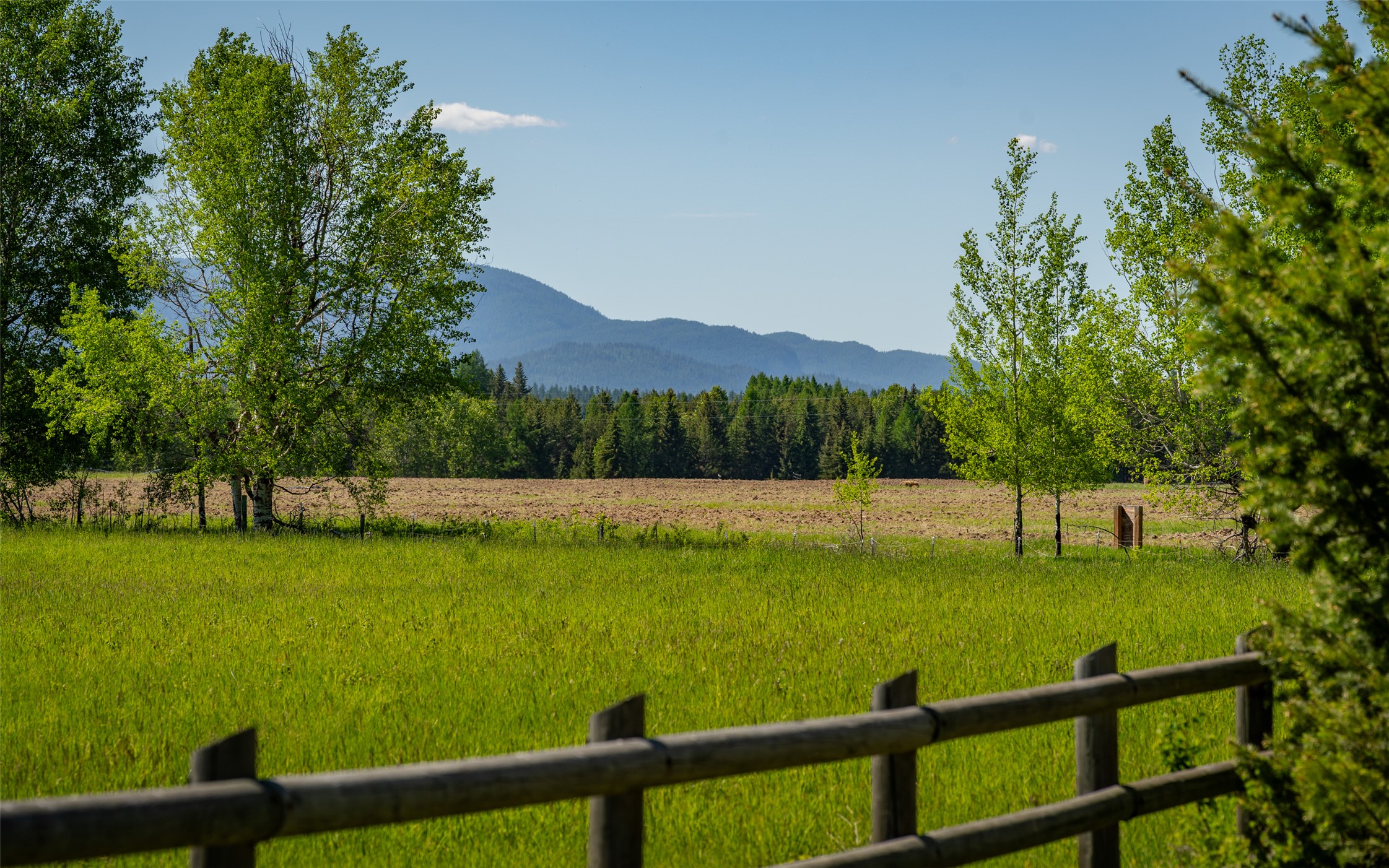 5445 Us Highway 93 W Property Photo 12