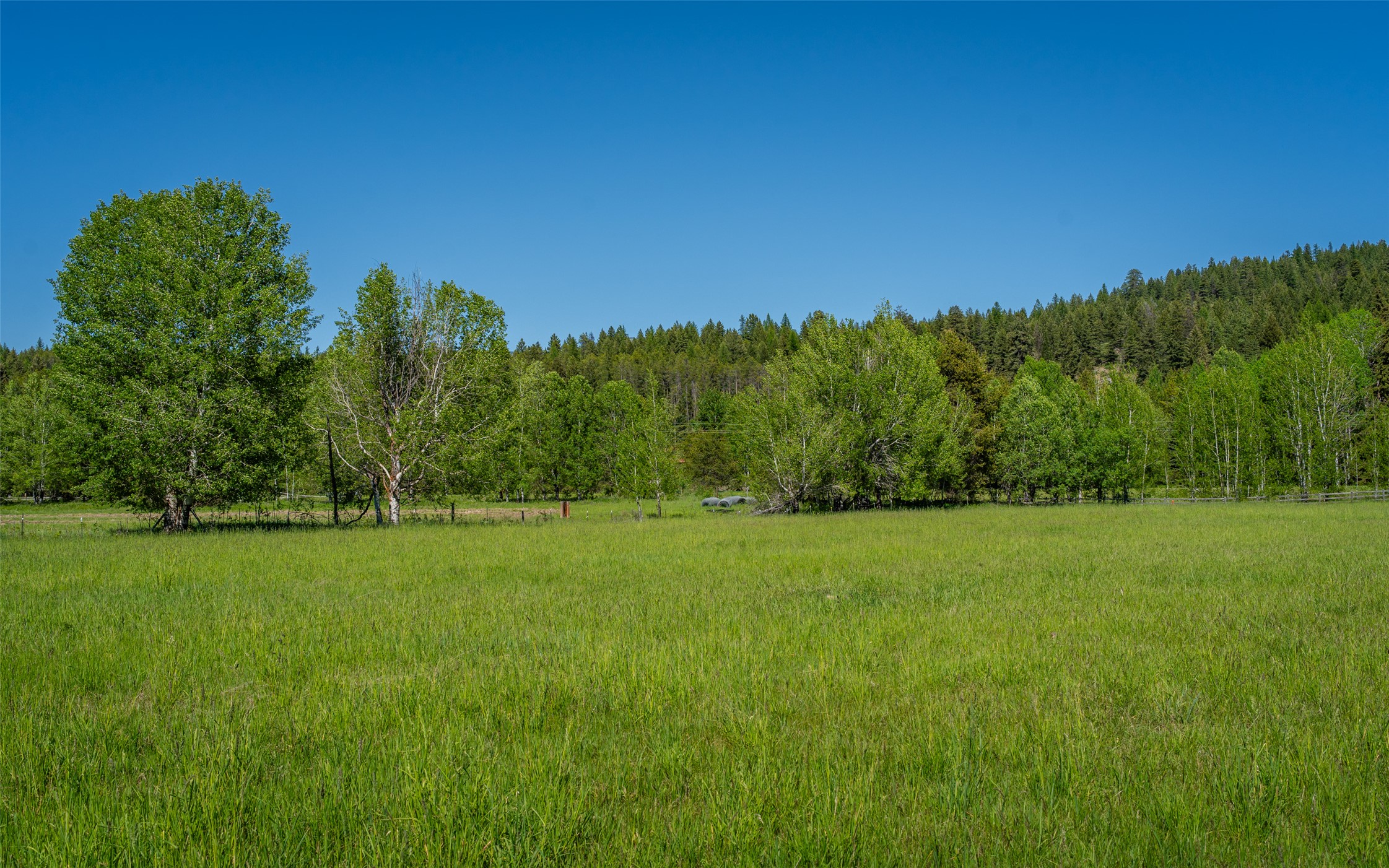 5445 Us Highway 93 W Property Photo 96
