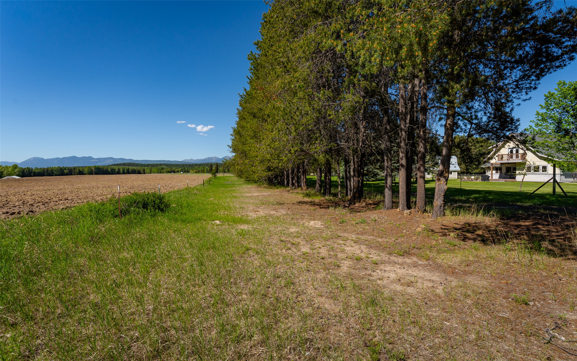 5445 Us Highway 93 W Property Photo 100