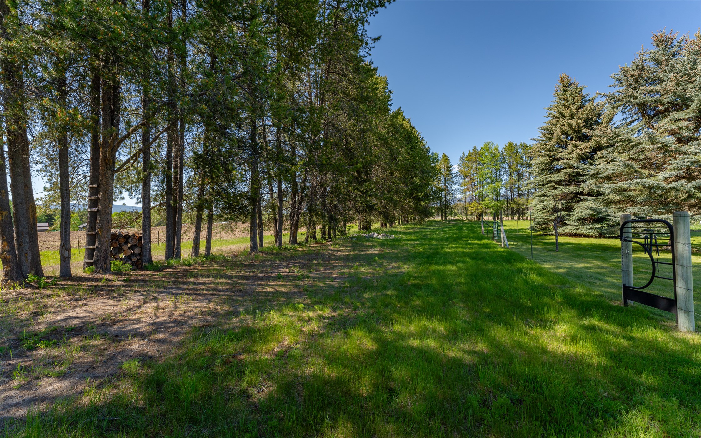 5445 Us Highway 93 W Property Photo 104