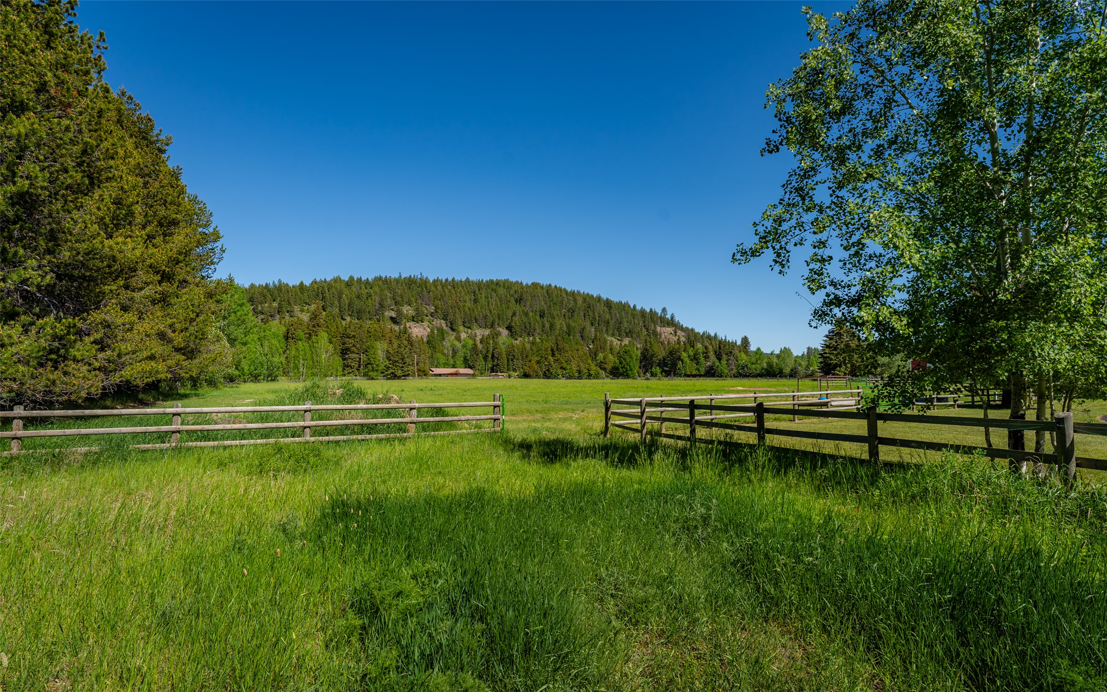 5445 Us Highway 93 W Property Photo 105