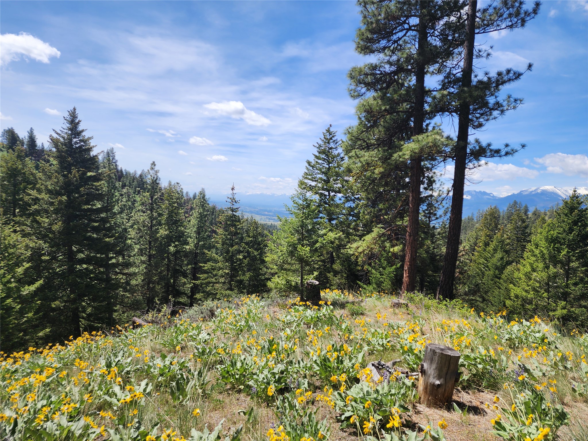 19063 Copper Ridge Trail Property Photo 2