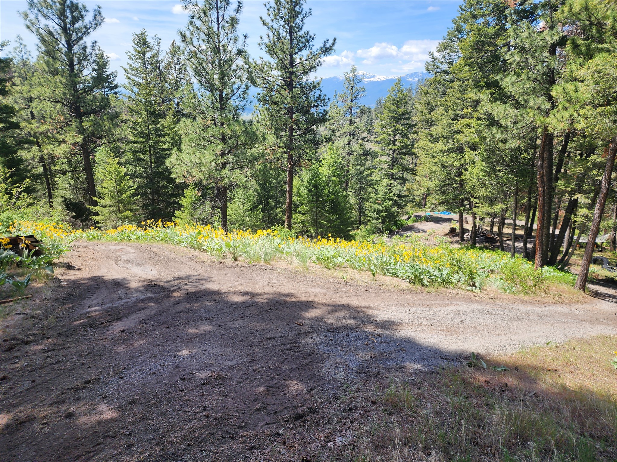 19063 Copper Ridge Trail Property Photo 4