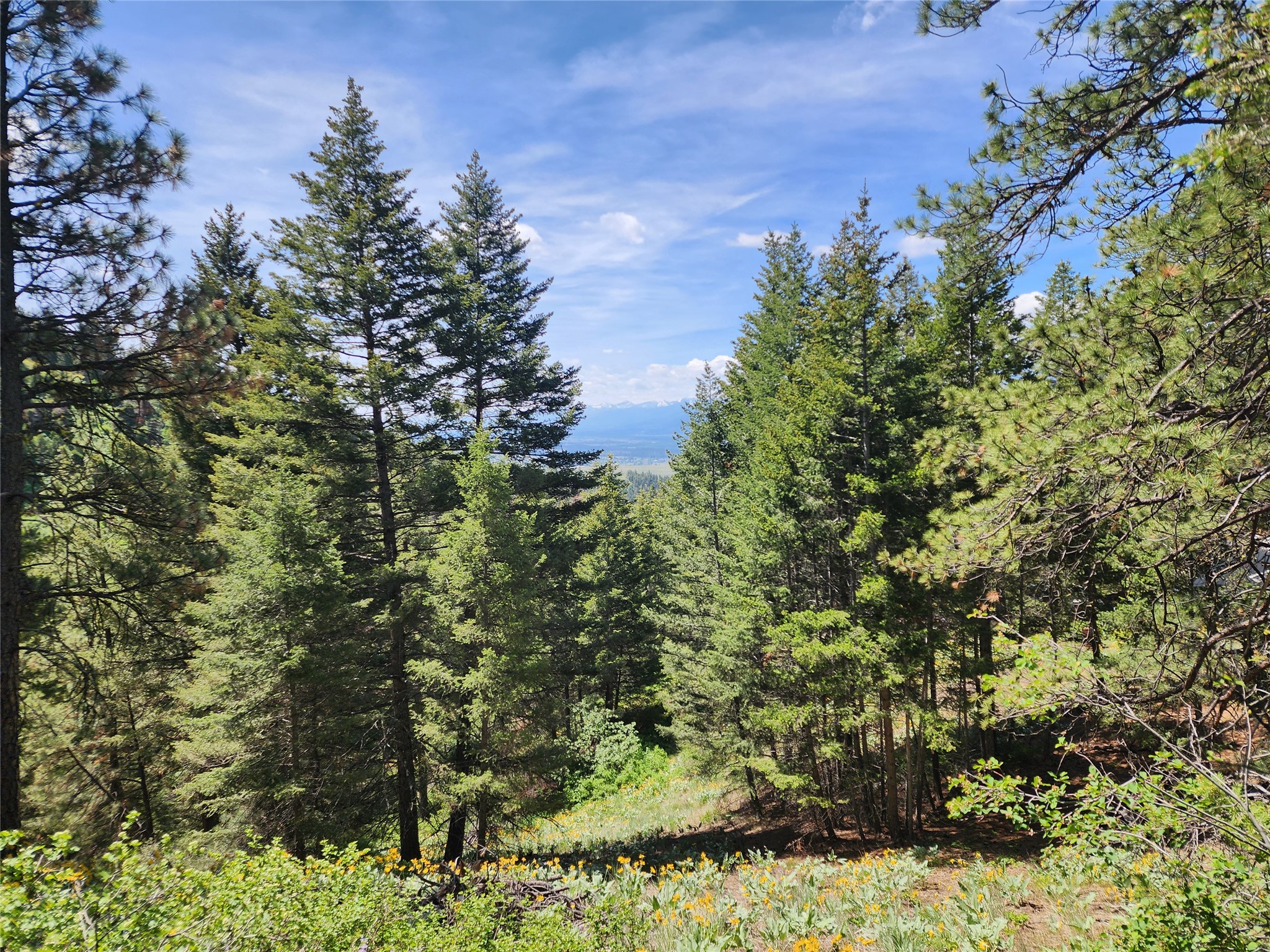 19063 Copper Ridge Trail Property Photo 5