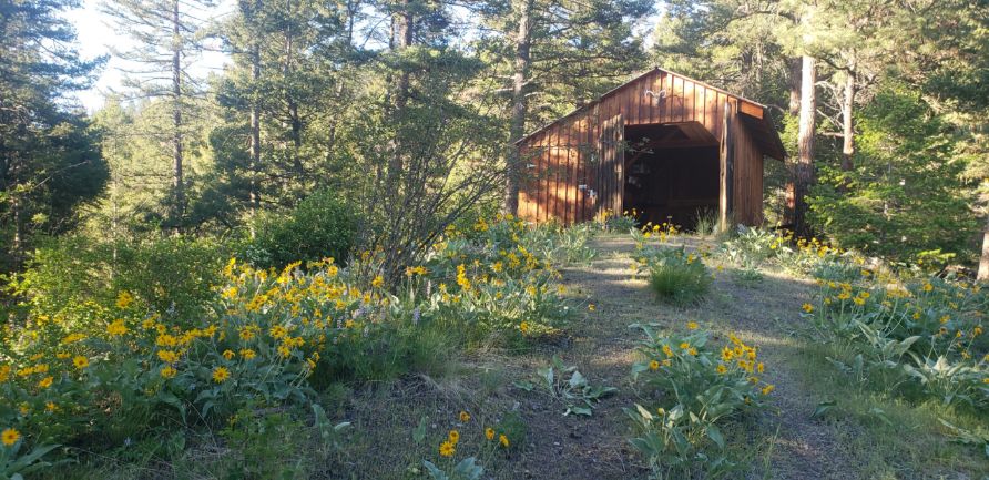 19063 Copper Ridge Trail Property Photo 6