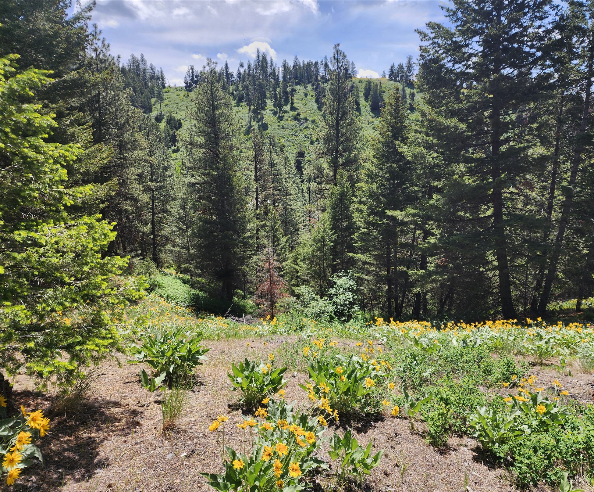 19063 Copper Ridge Trail Property Photo 9