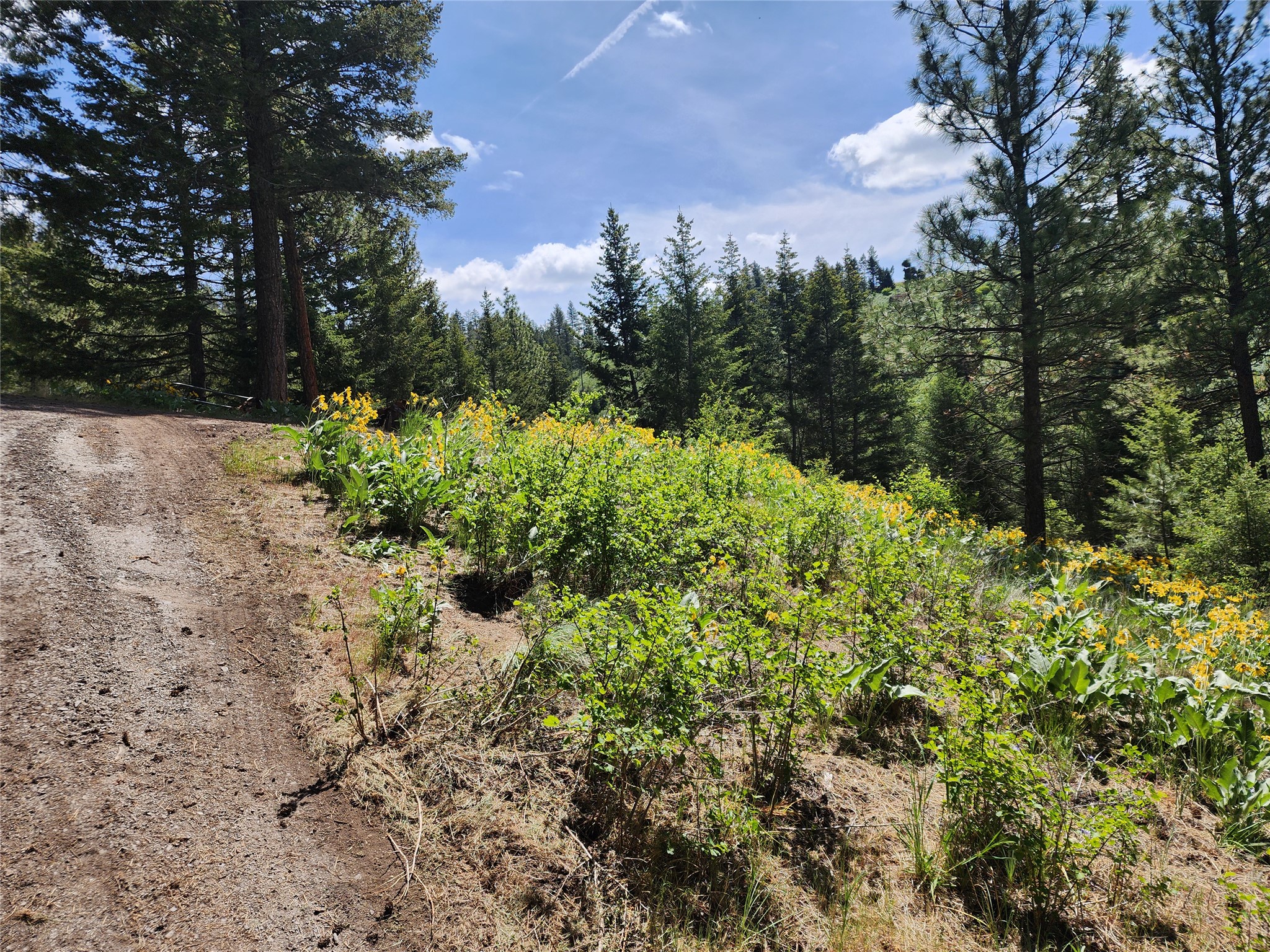 19063 Copper Ridge Trail Property Photo 11