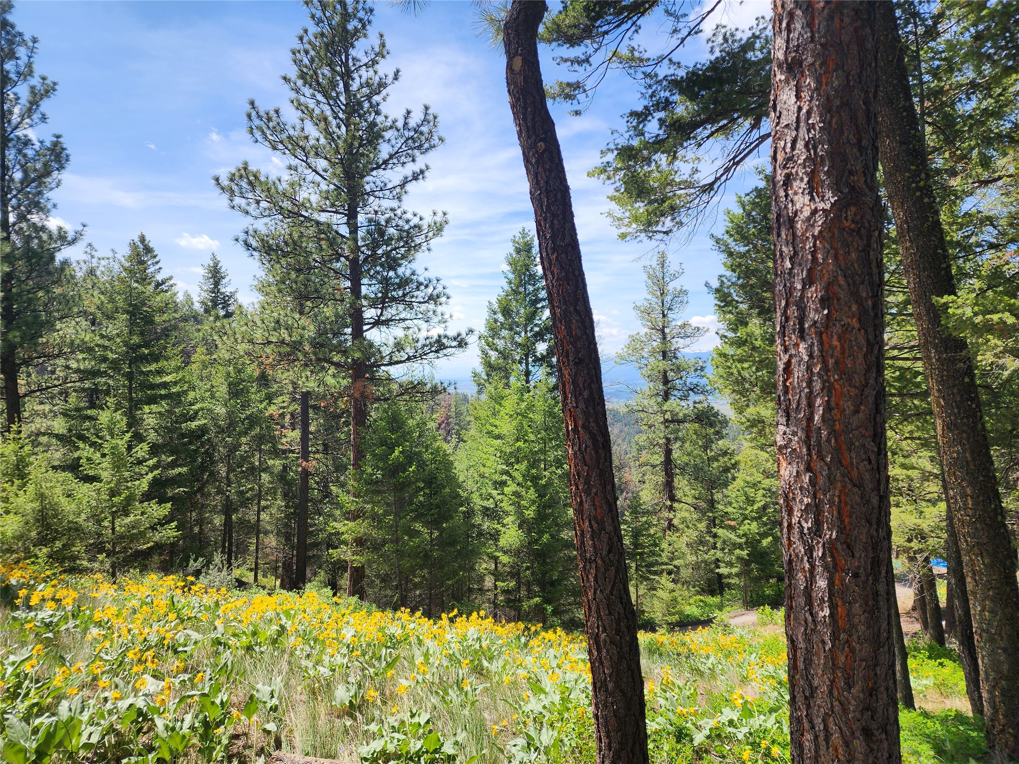 19063 Copper Ridge Trail Property Photo 12