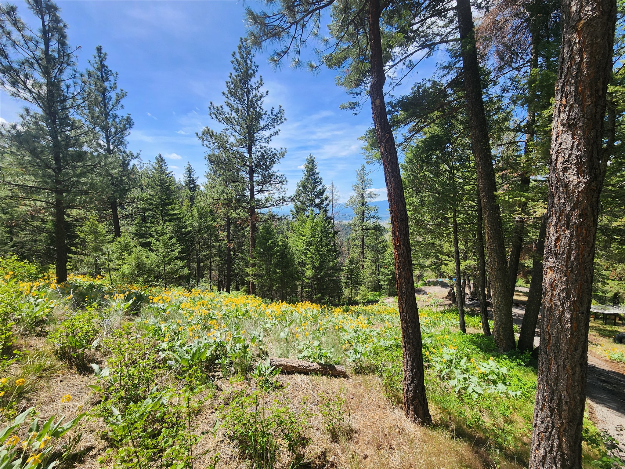 19063 Copper Ridge Trail Property Photo 13