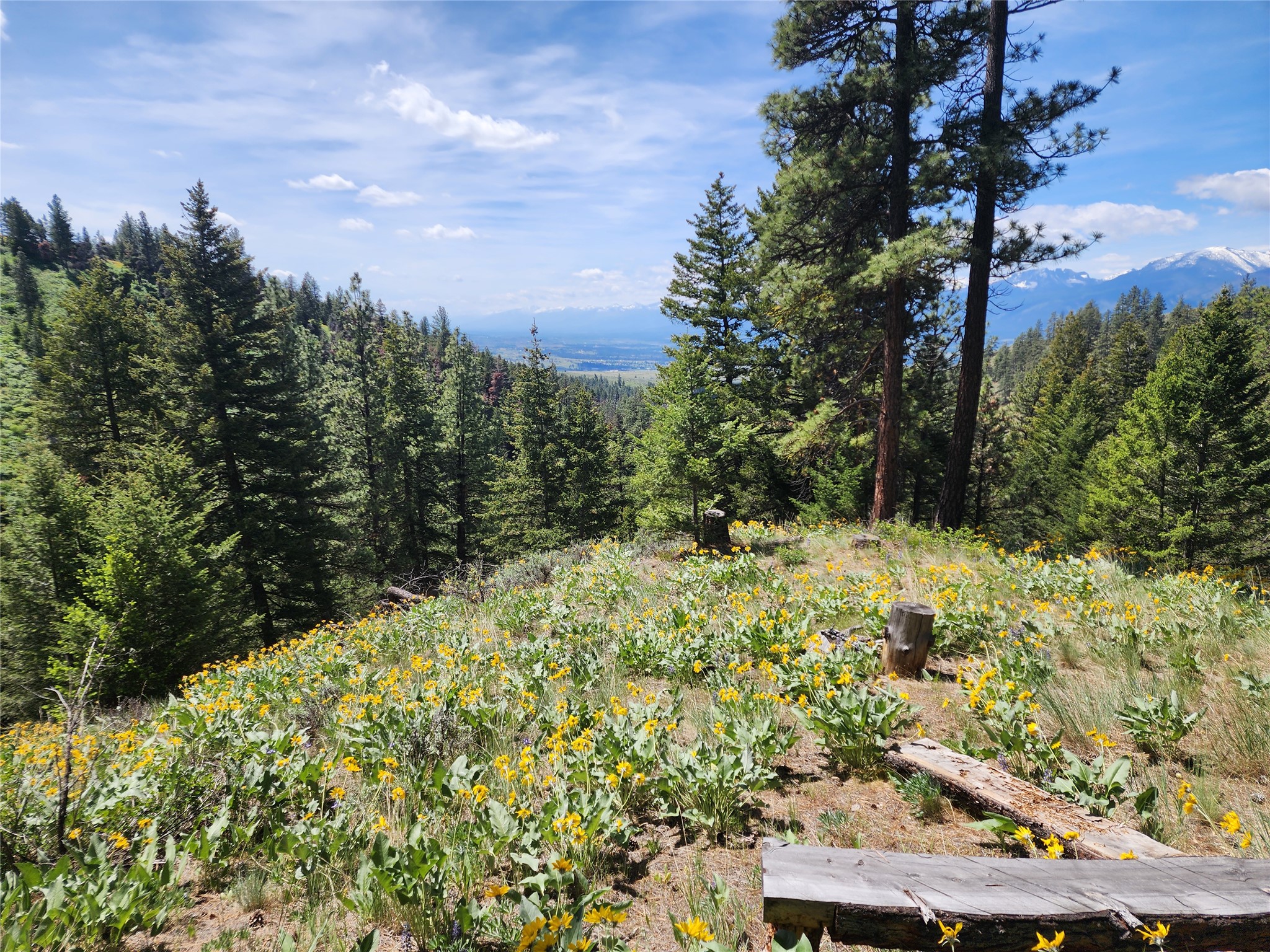 19063 Copper Ridge Trail Property Photo 16