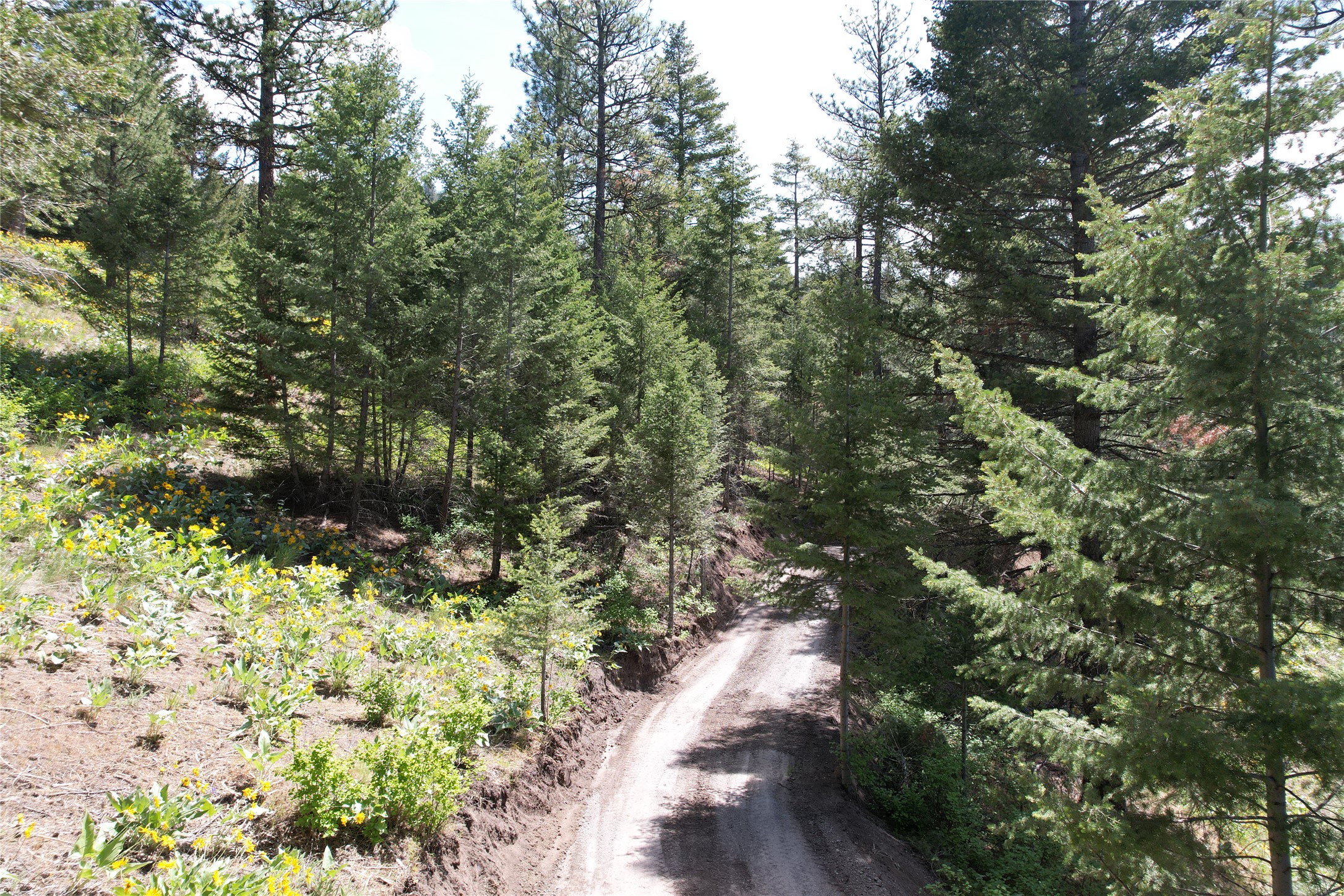 19063 Copper Ridge Trail Property Photo 19