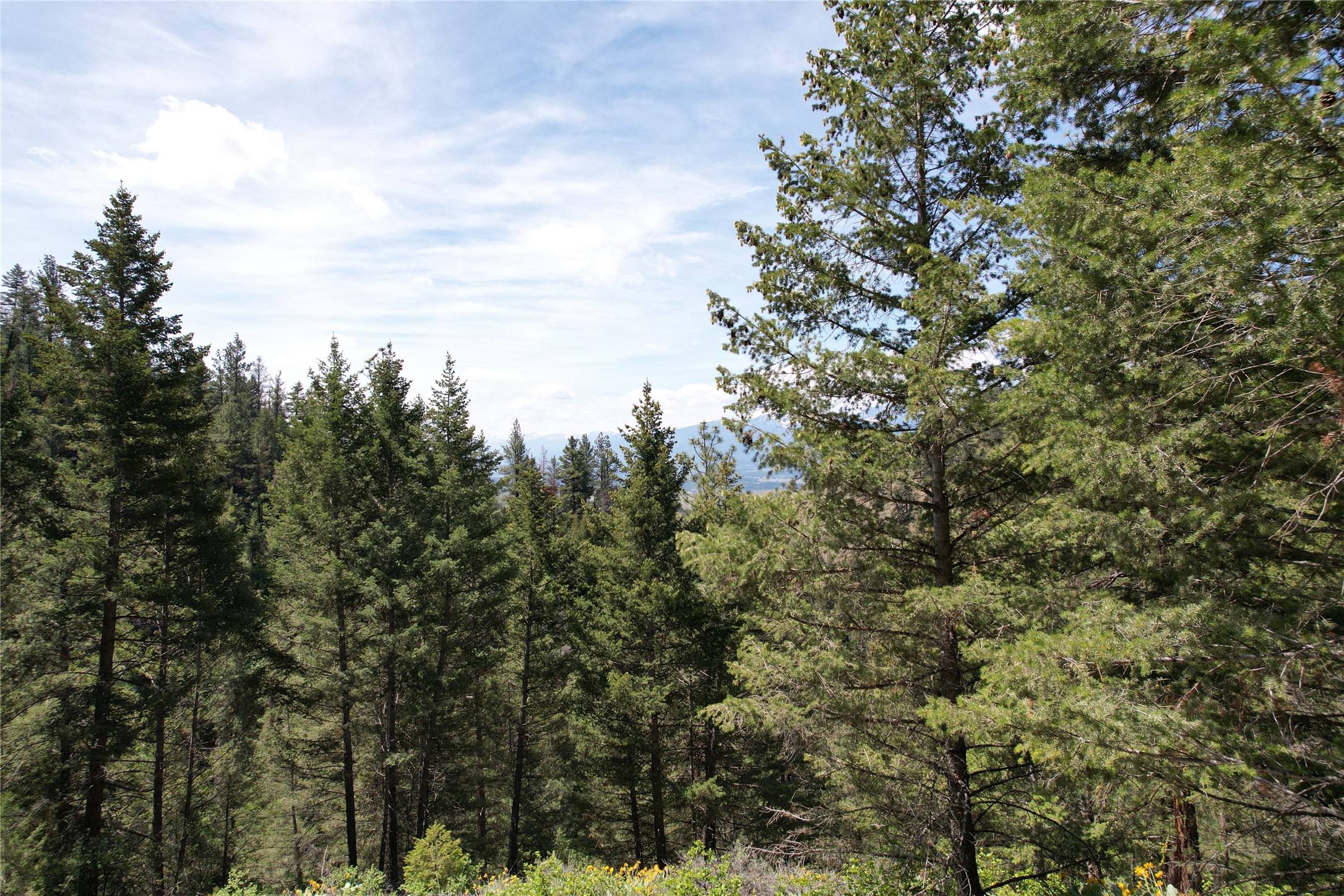 19063 Copper Ridge Trail Property Photo 21