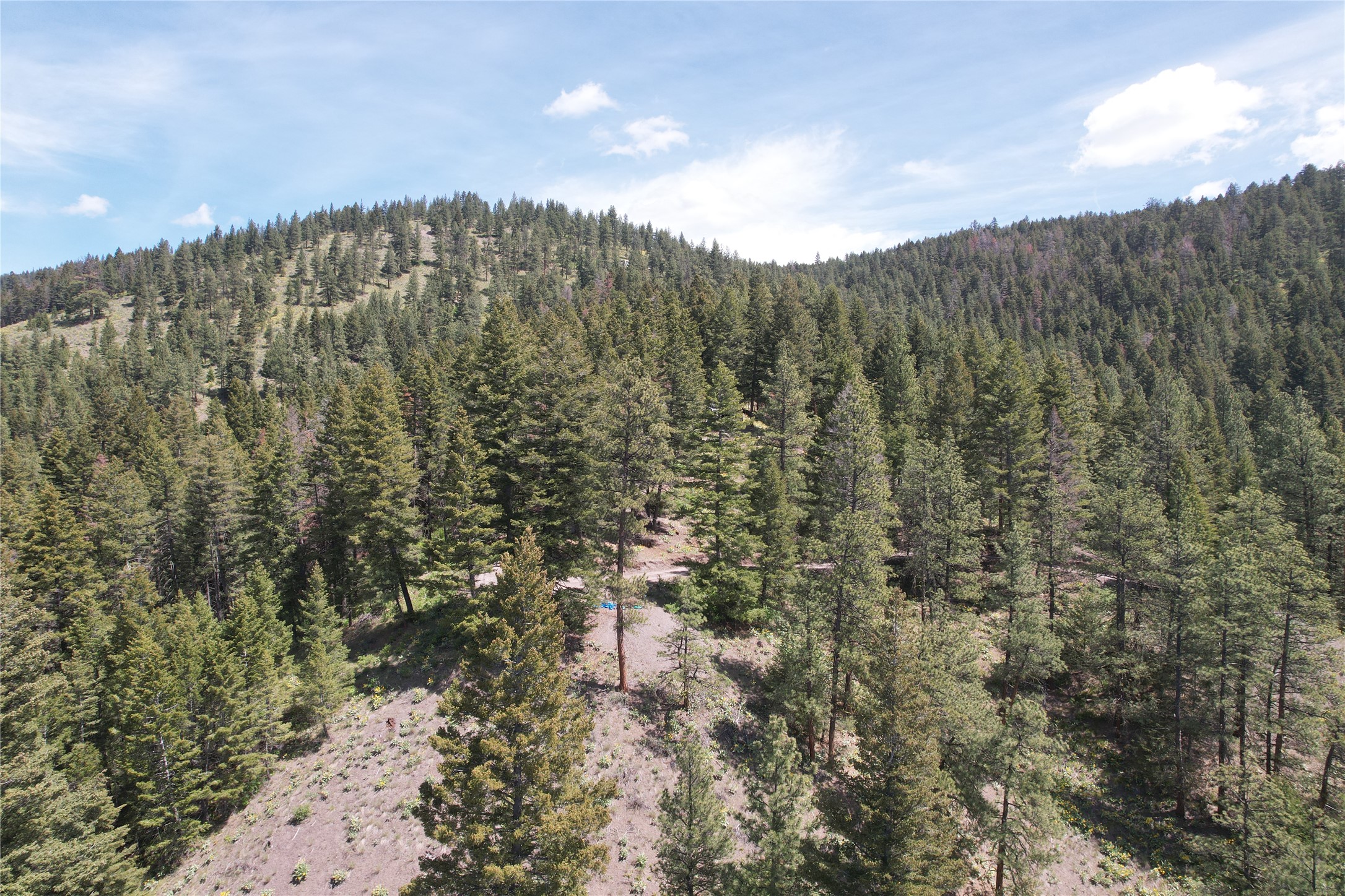 19063 Copper Ridge Trail Property Photo 22