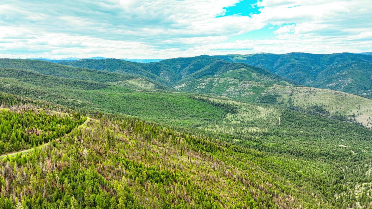 Nhn Pats Knob Hunting Ranch Property Photo 9