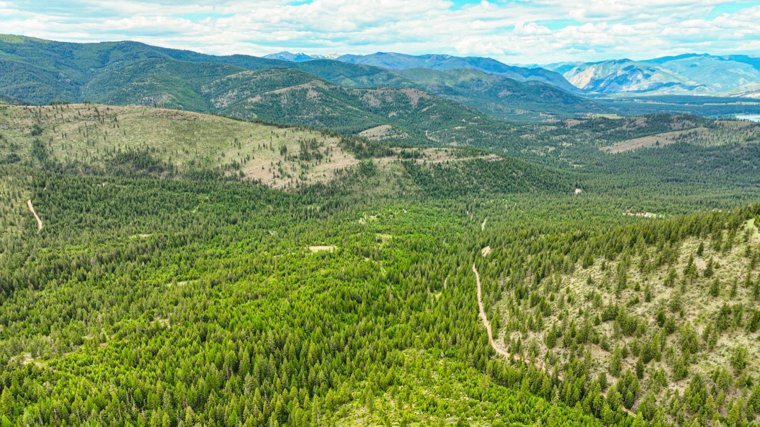 Nhn Pats Knob Hunting Ranch Property Photo 11