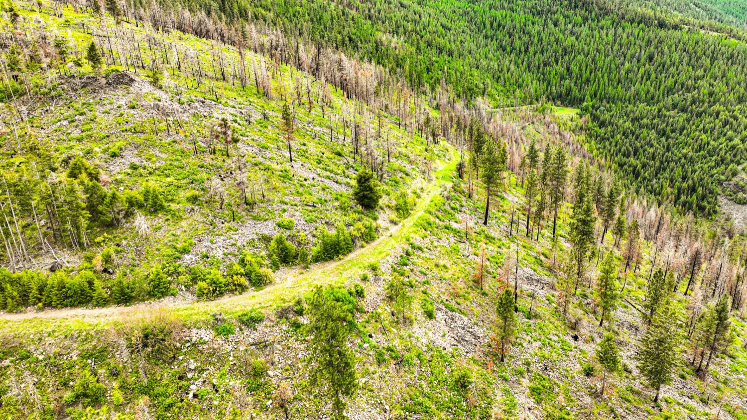 Nhn Pats Knob Hunting Ranch Property Photo 15