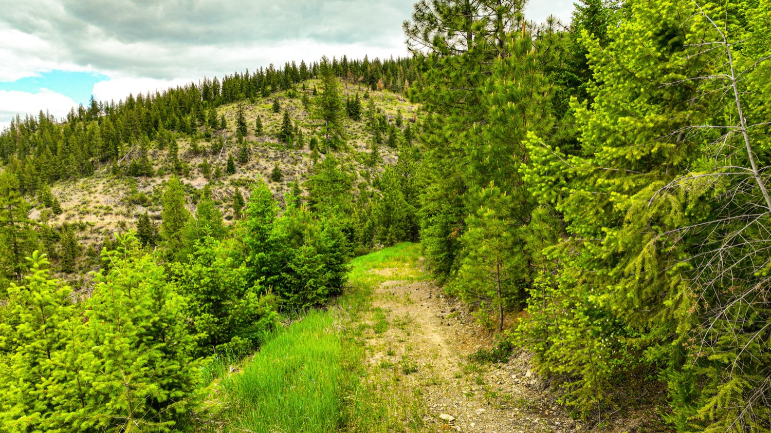 Nhn Pats Knob Hunting Ranch Property Photo 16