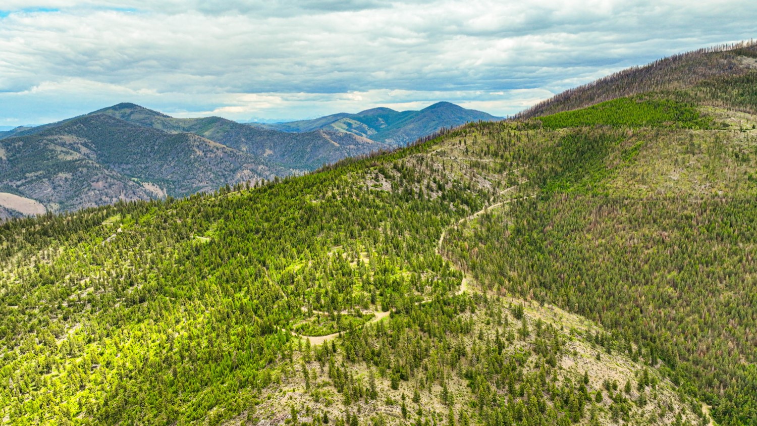 Nhn Pats Knob Hunting Ranch Property Photo 18