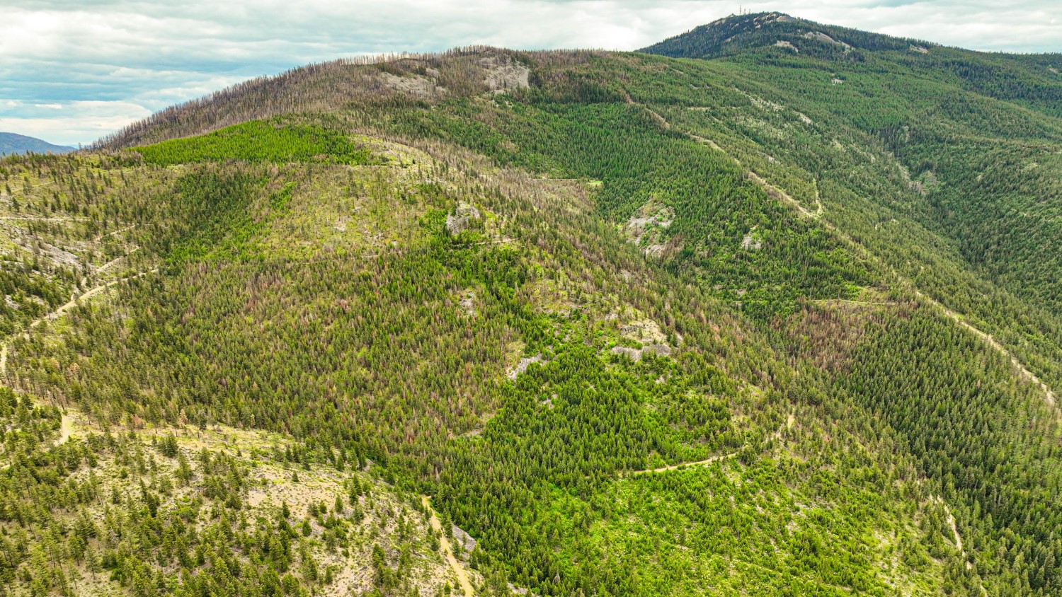 Nhn Pats Knob Hunting Ranch Property Photo 19