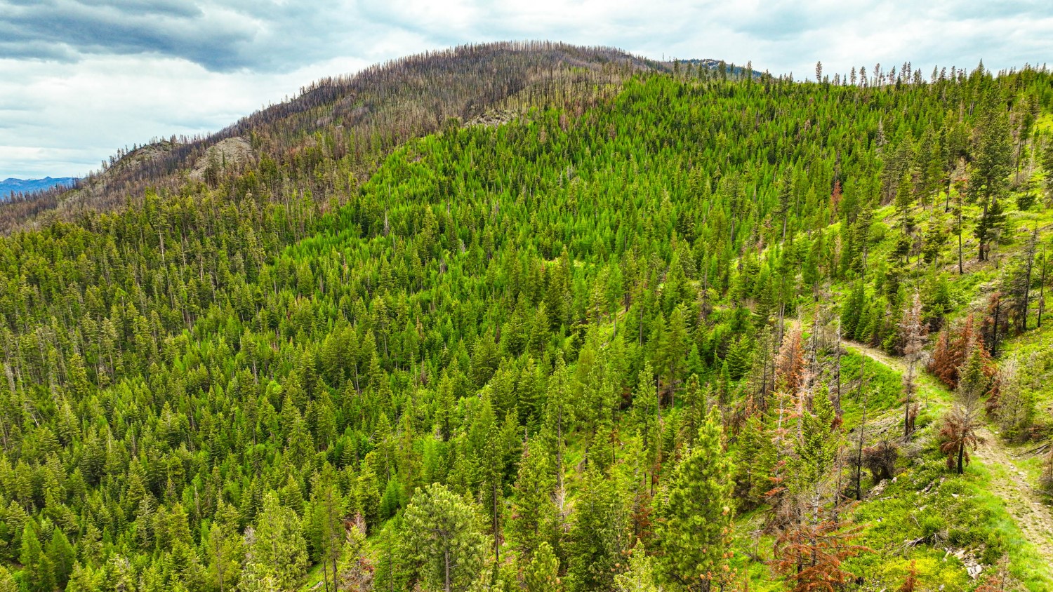 Nhn Pats Knob Hunting Ranch Property Photo 20