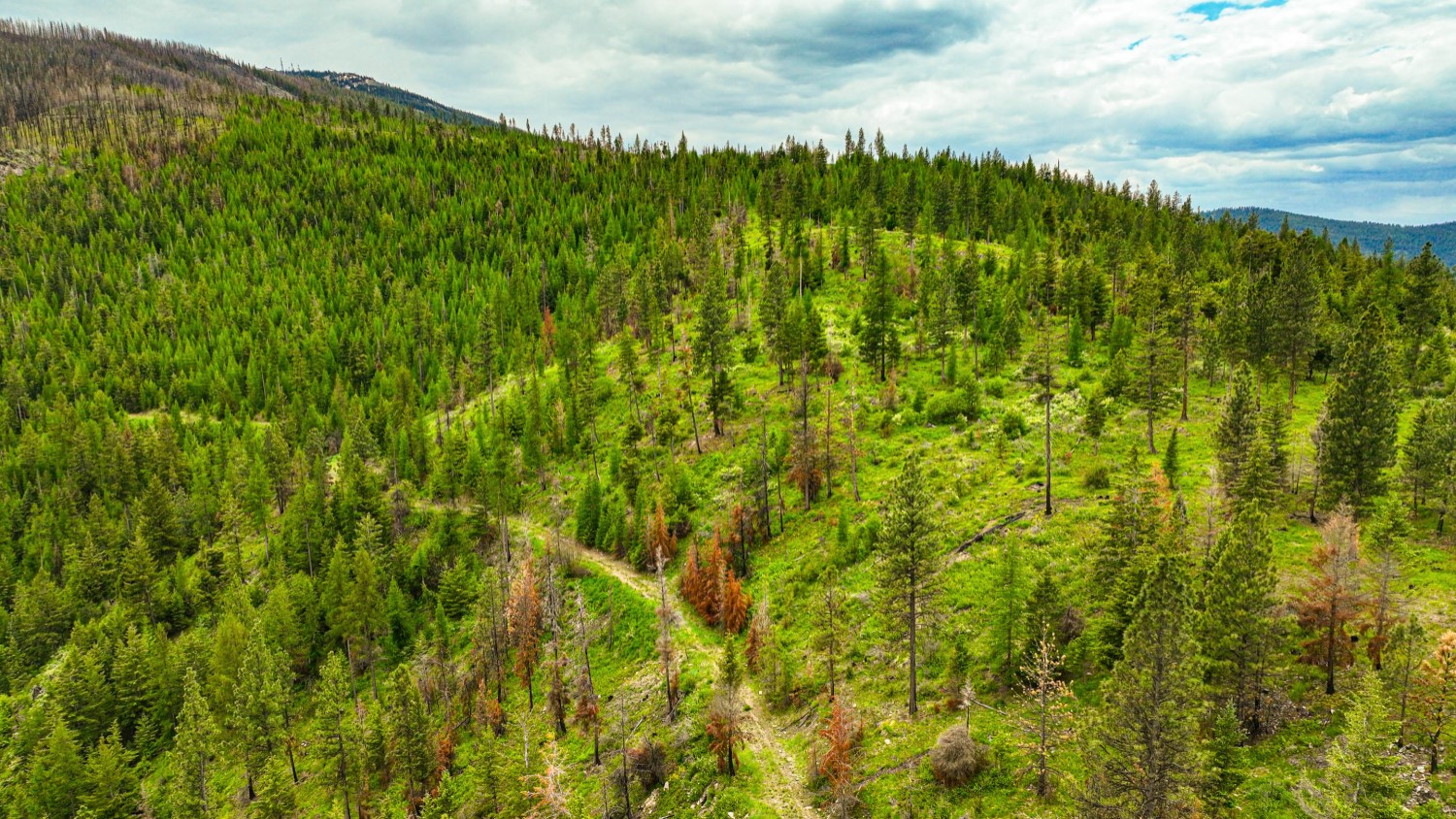 Nhn Pats Knob Hunting Ranch Property Photo 21