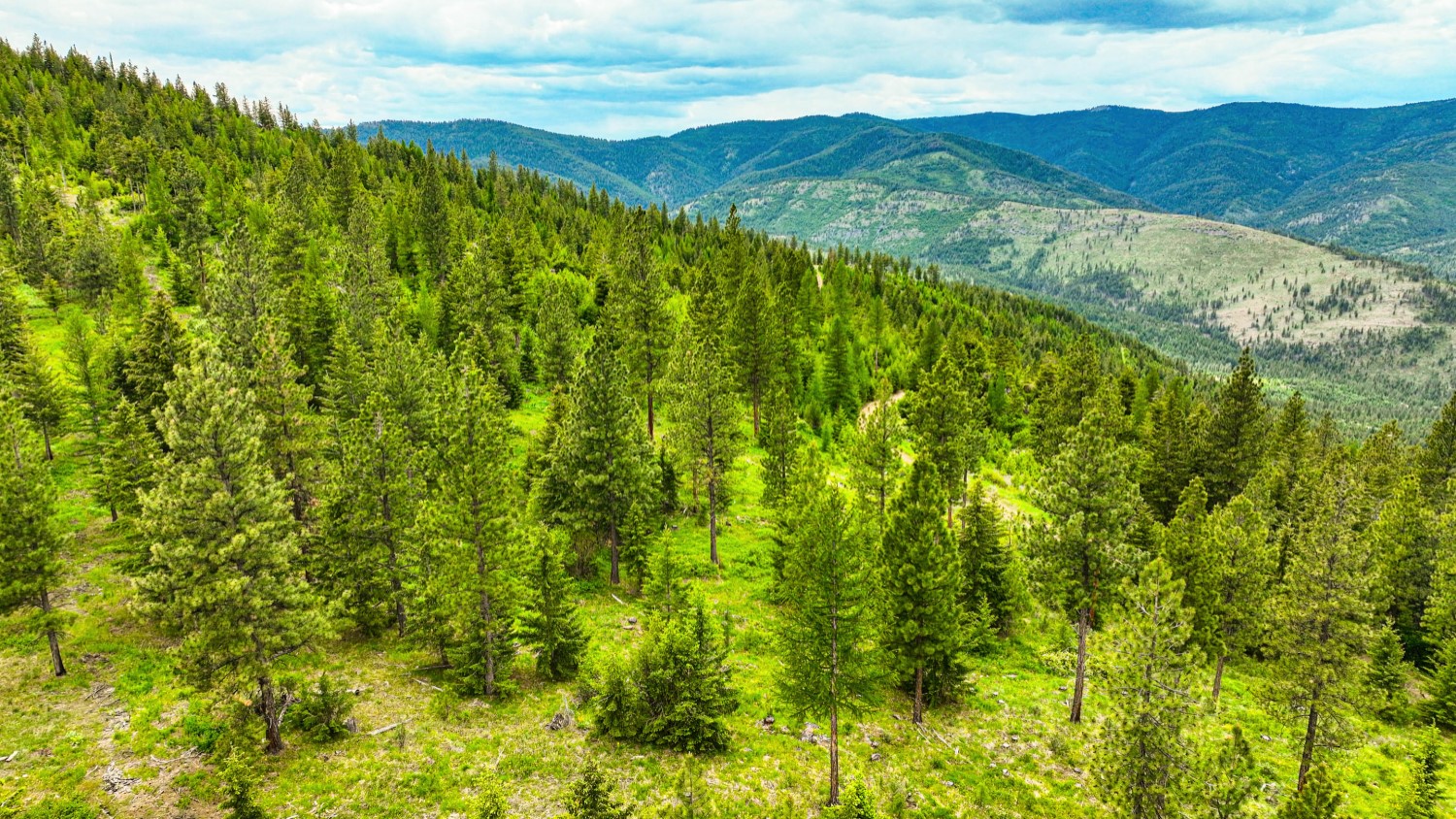 Nhn Pats Knob Hunting Ranch Property Photo 22