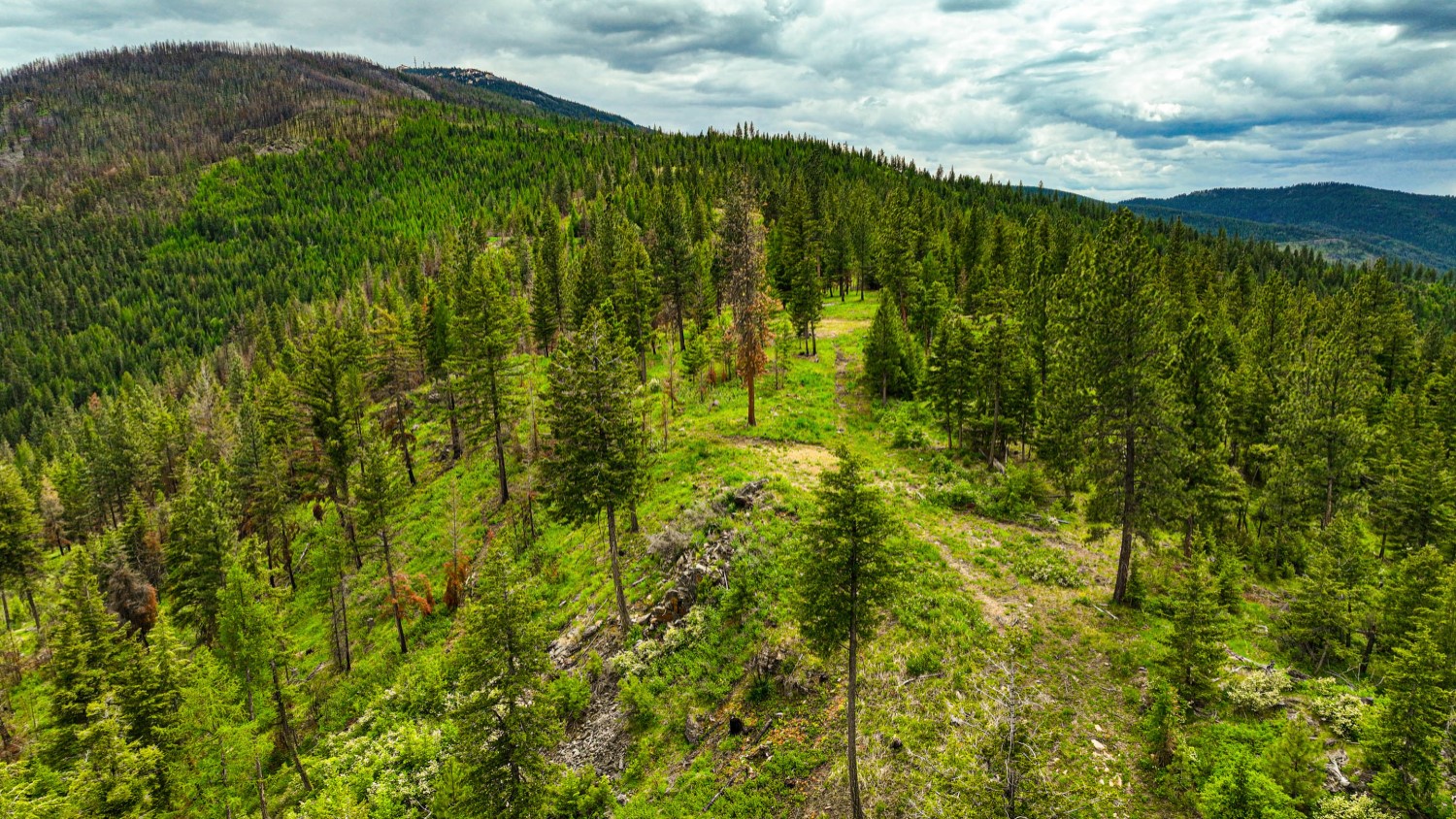 Nhn Pats Knob Hunting Ranch Property Photo 23