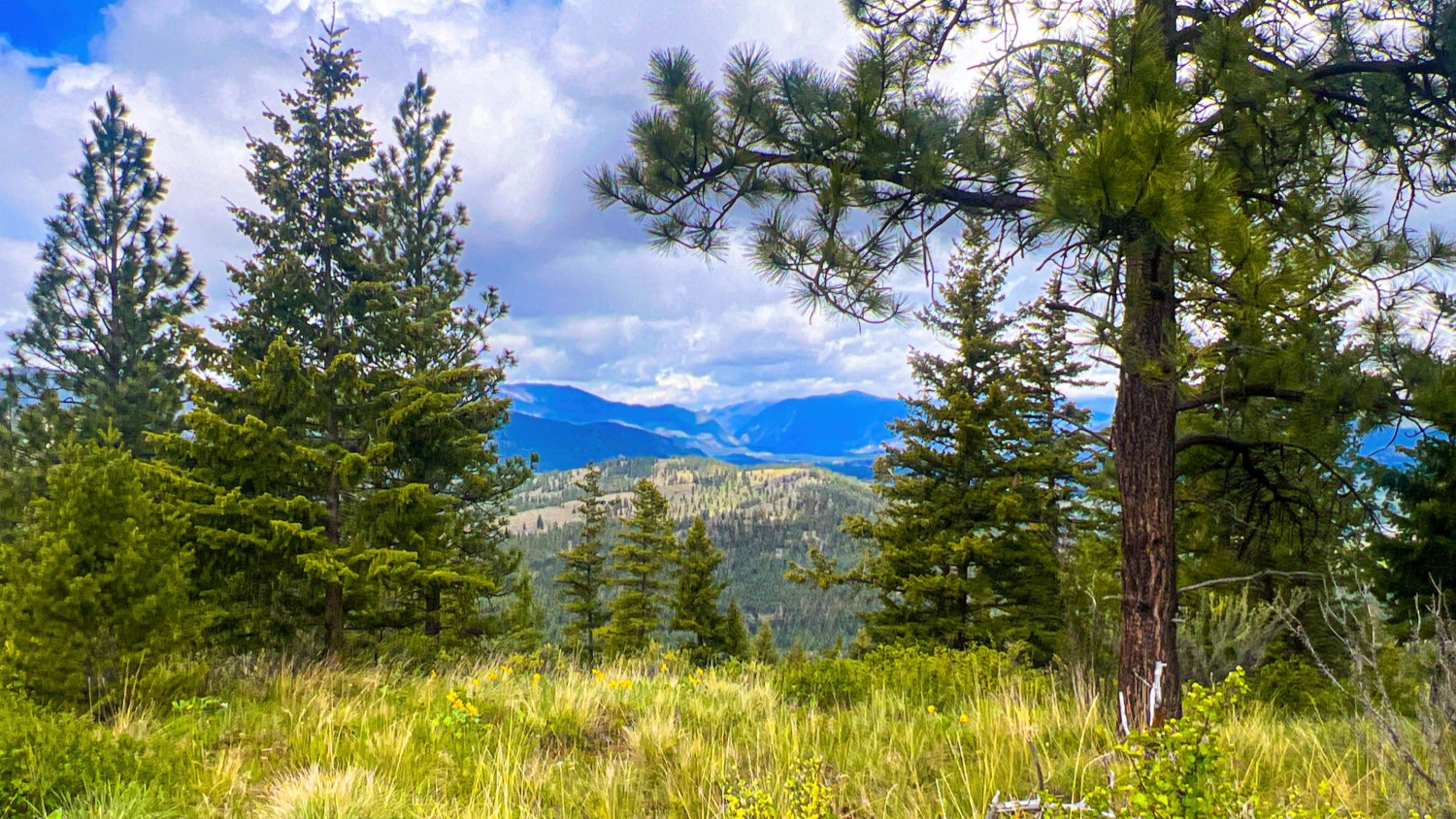 Nhn Pats Knob Hunting Ranch Property Photo 24