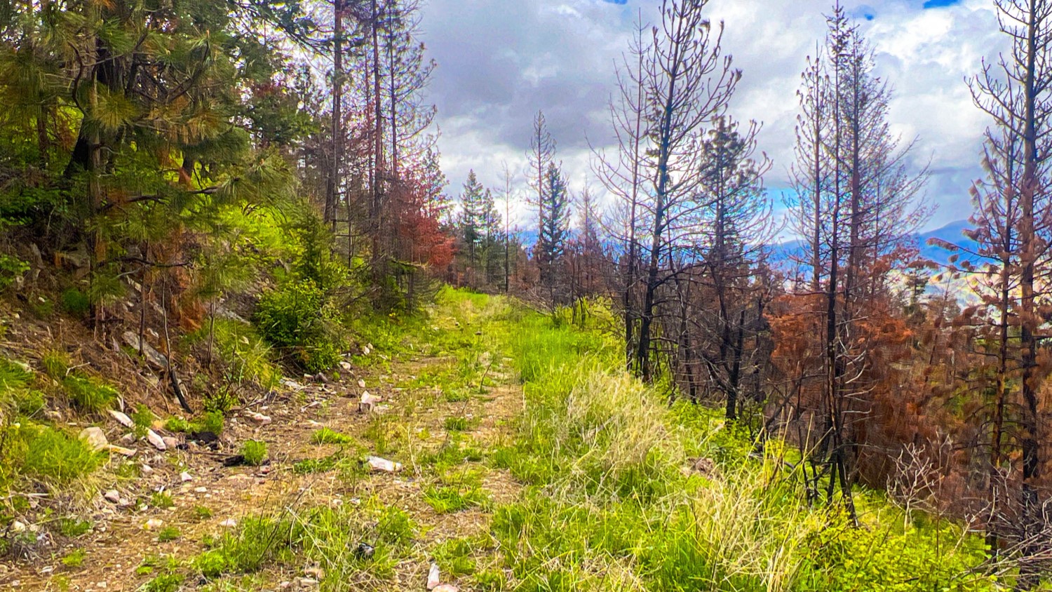 Nhn Pats Knob Hunting Ranch Property Photo 25