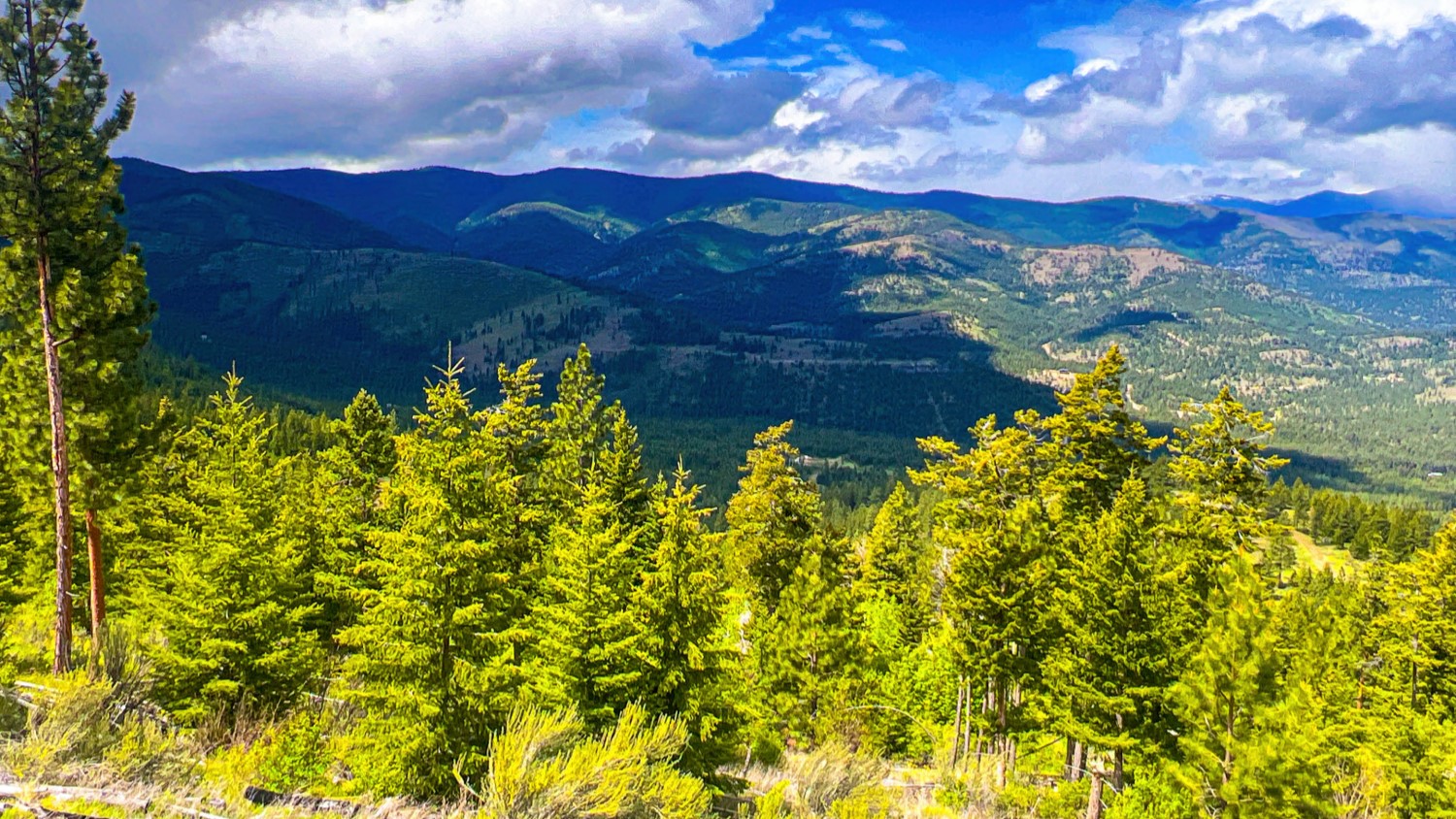 Nhn Pats Knob Hunting Ranch Property Photo 26