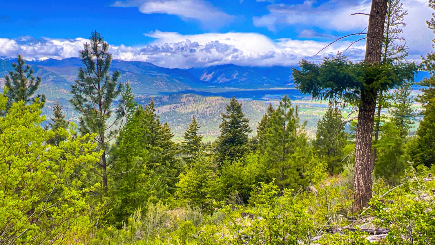 Nhn Pats Knob Hunting Ranch Property Photo 28