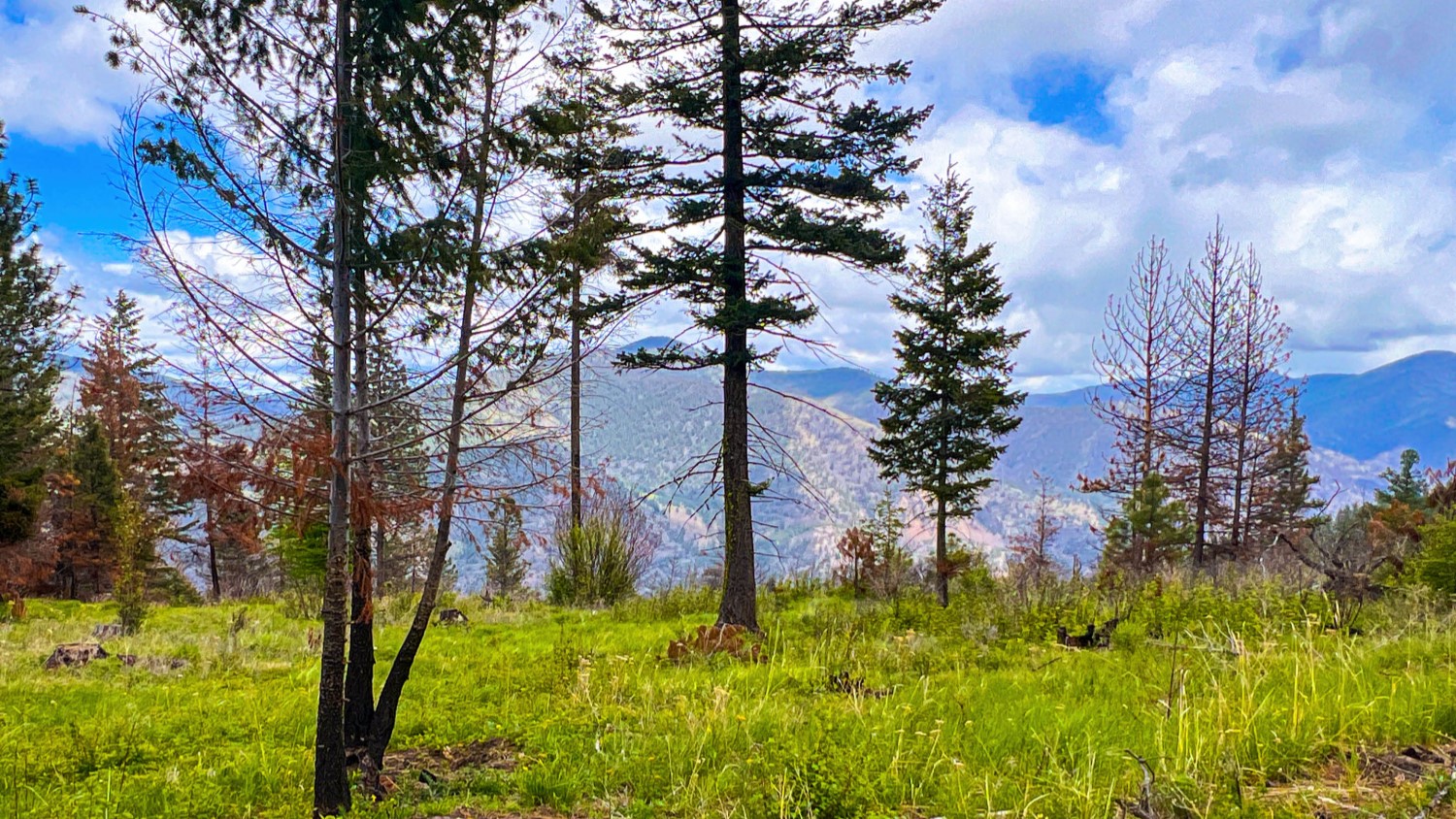 Nhn Pats Knob Hunting Ranch Property Photo 29