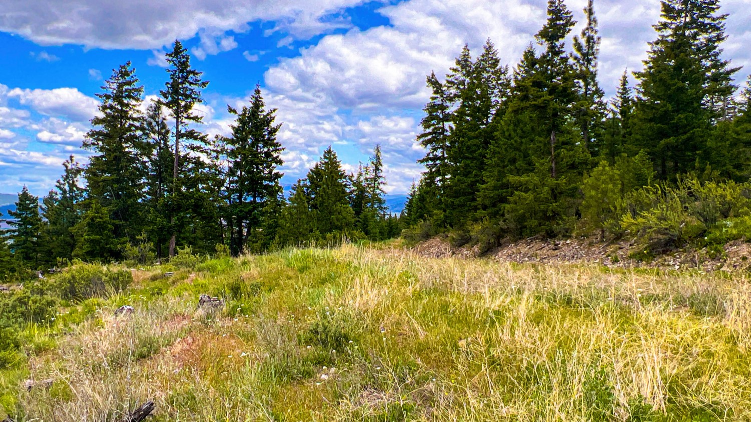 Nhn Pats Knob Hunting Ranch Property Photo 30